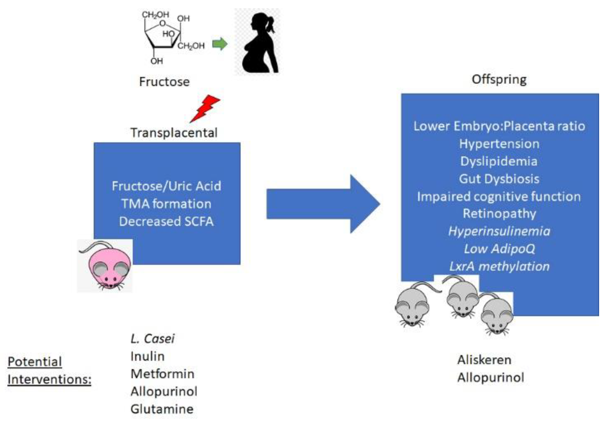 Nutrients 13 03278 g001