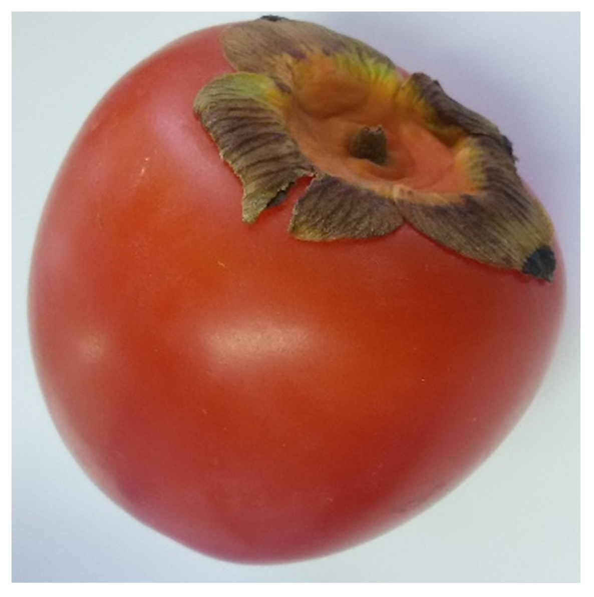 Nutrients 13 03283 g001