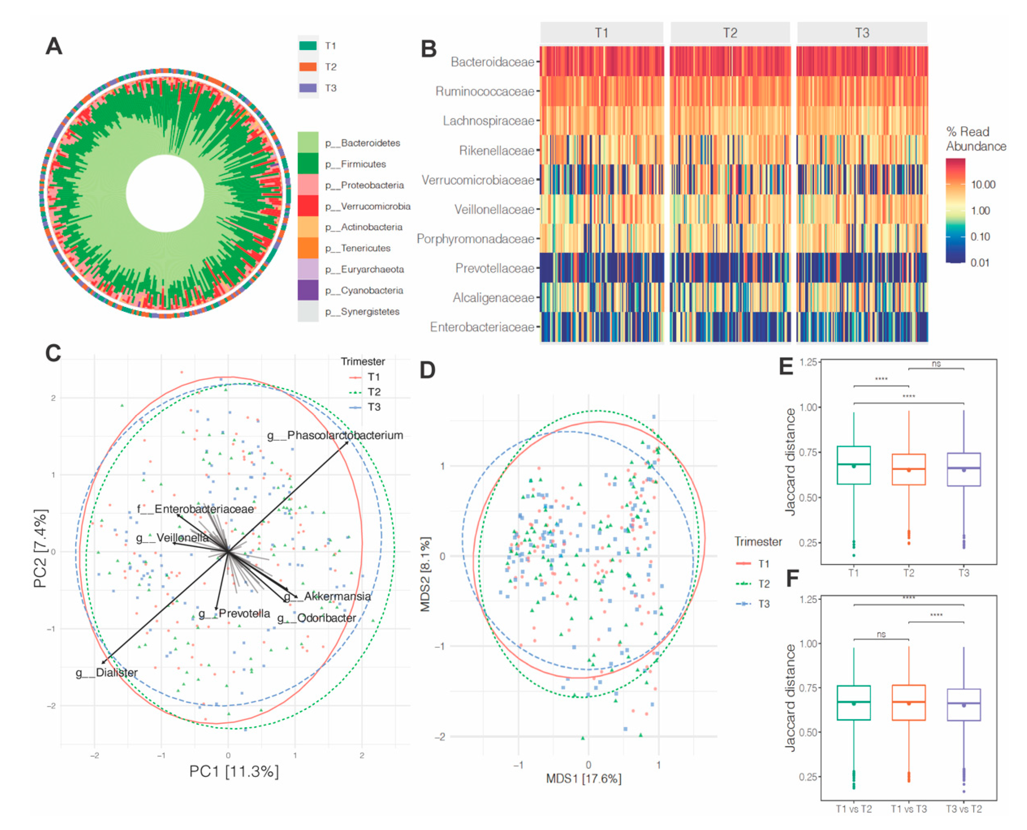 Nutrients 13 03295 g002