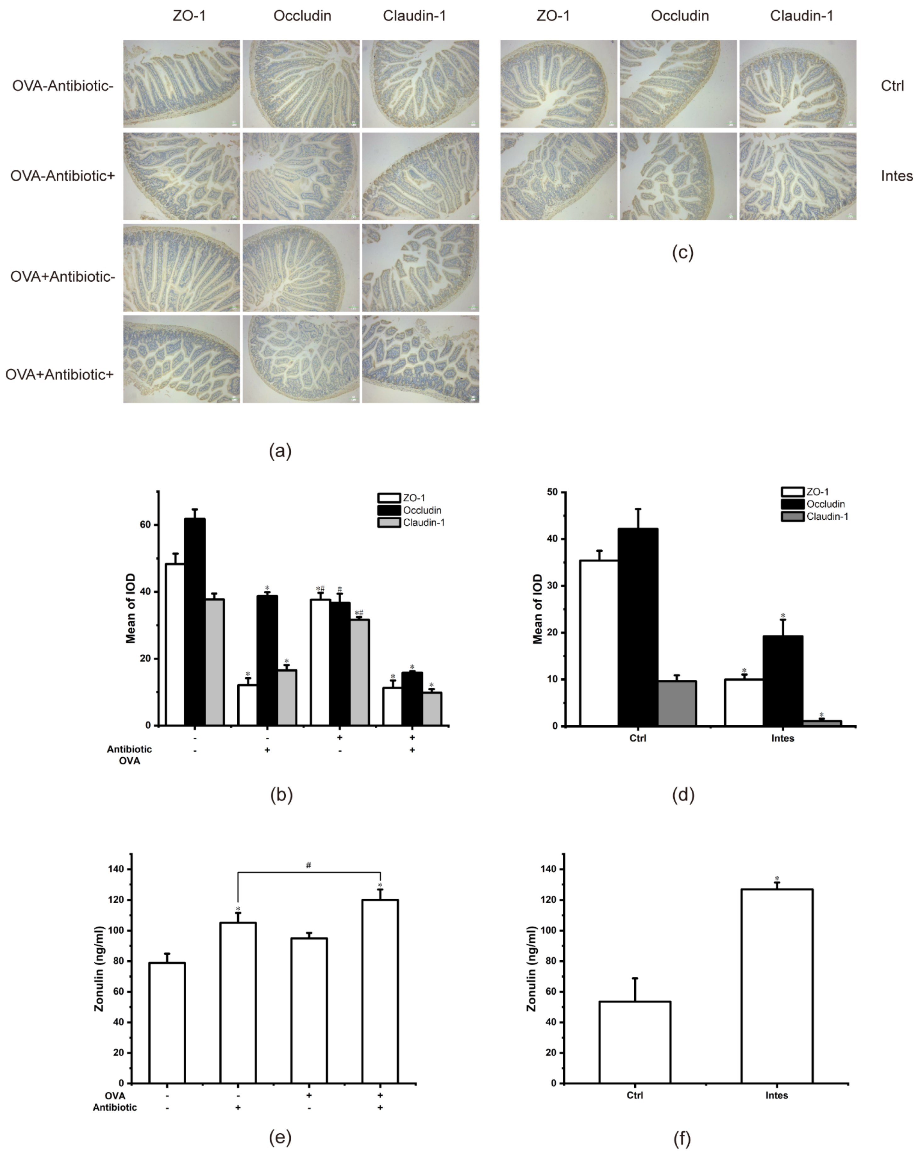 Nutrients 13 03315 g009