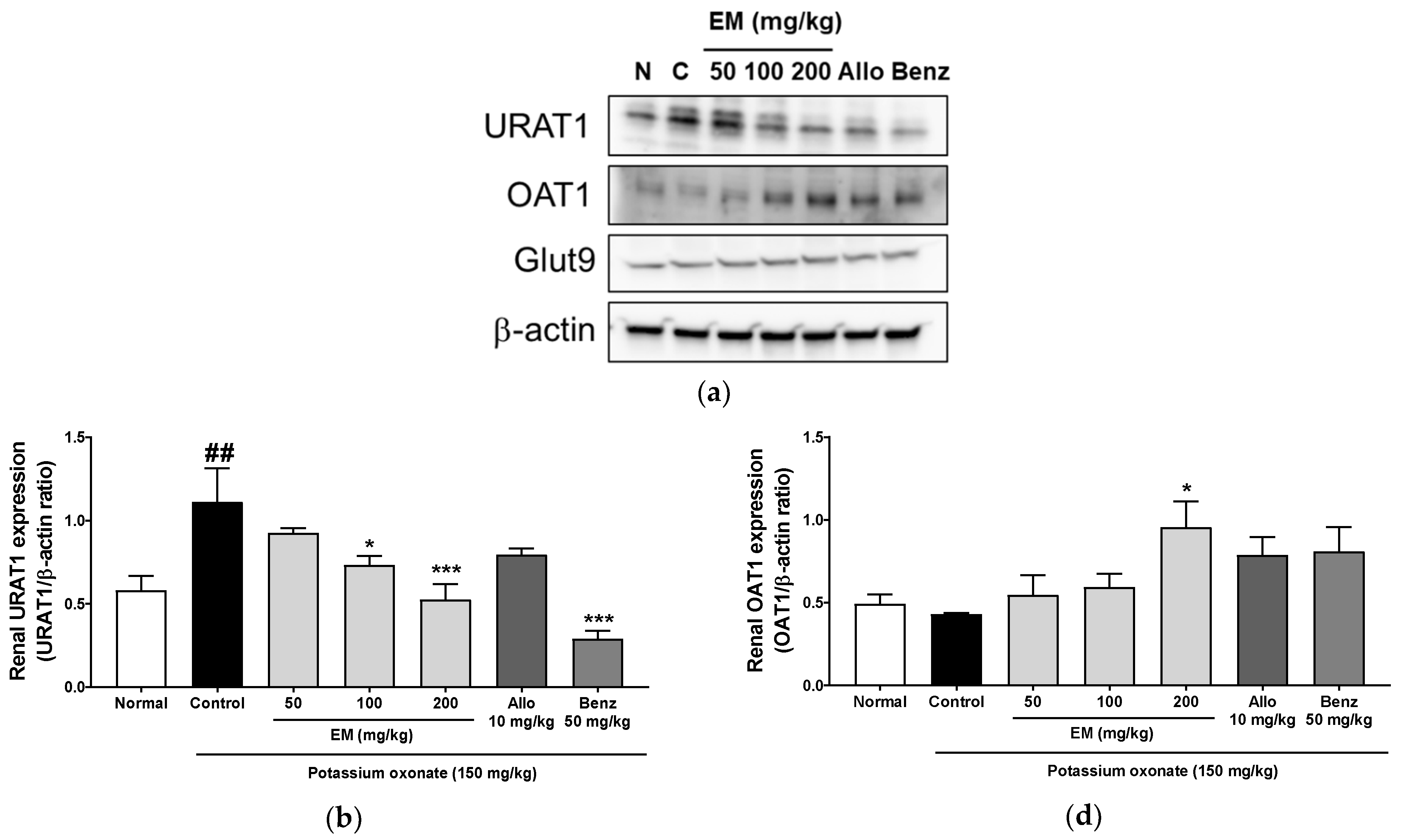 Nutrients 13 03323 g005a