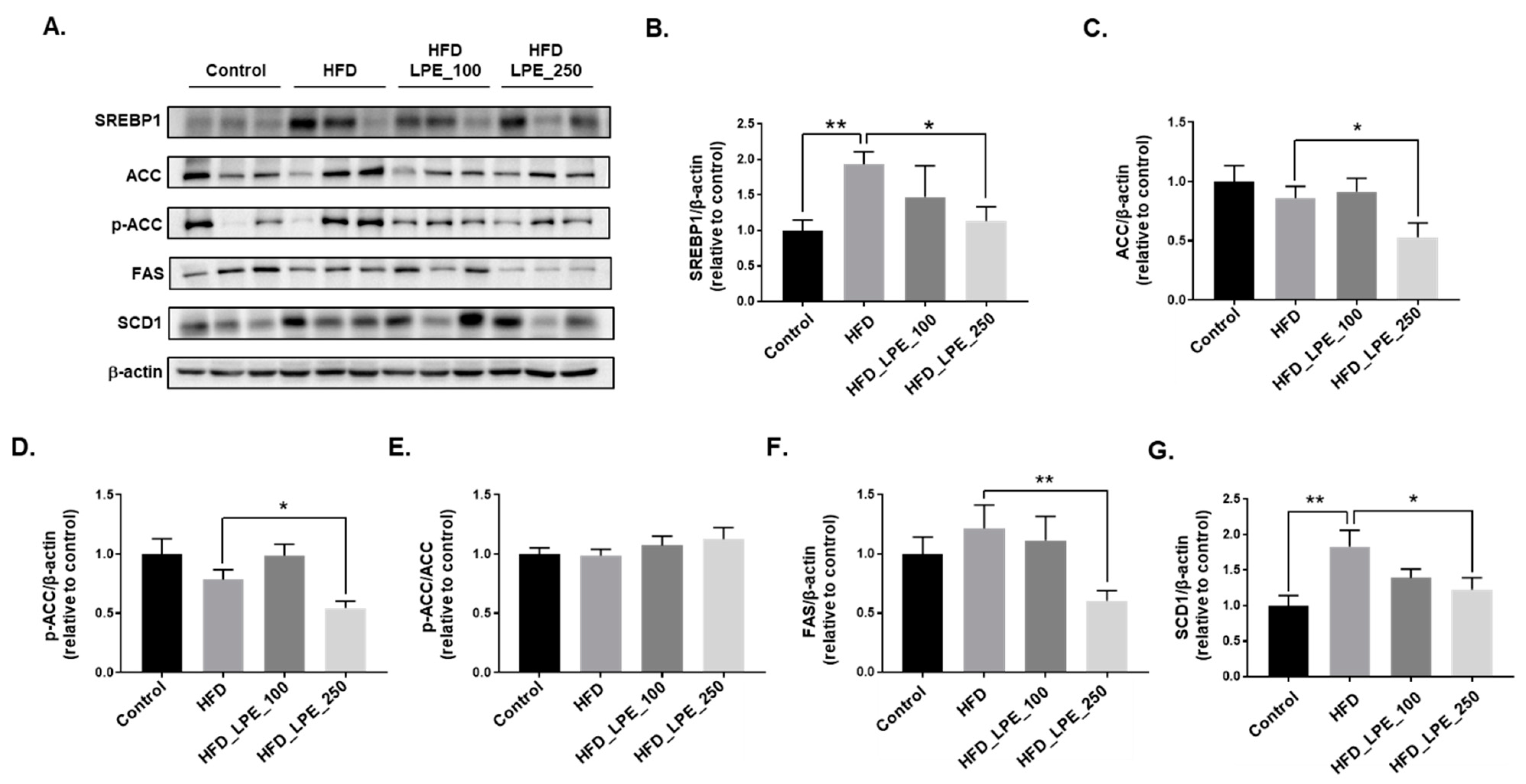 Nutrients 13 03338 g003