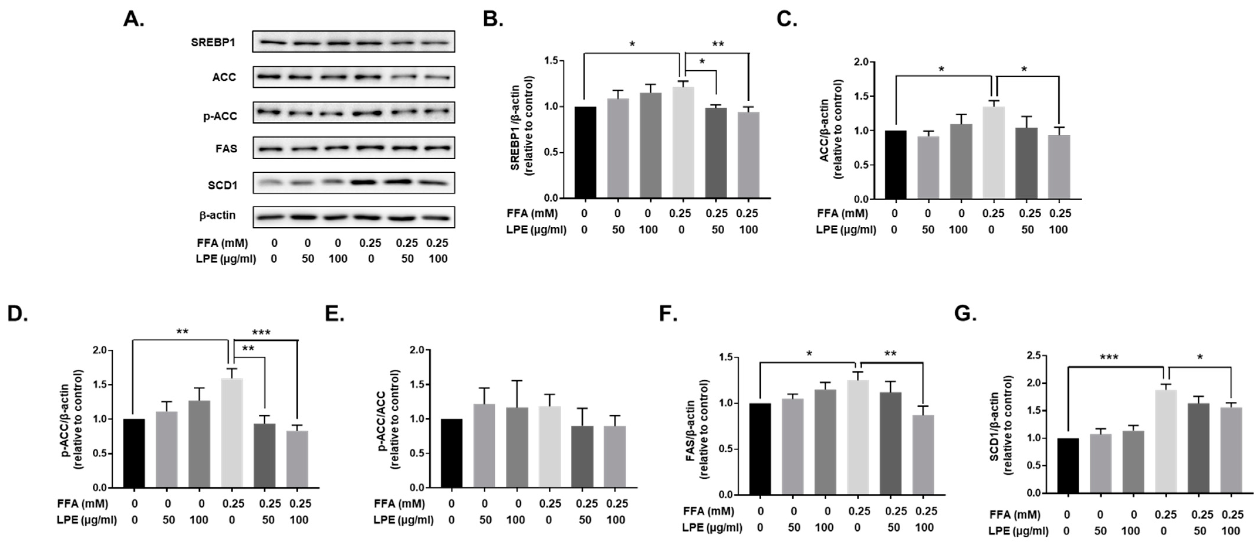 Nutrients 13 03338 g006