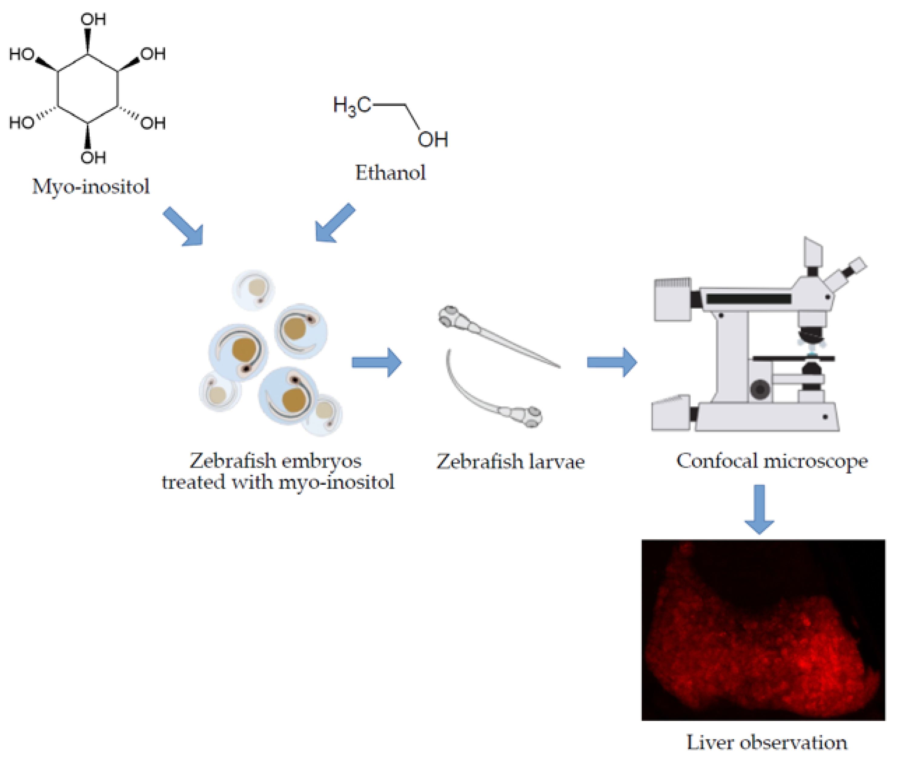 Nutrients 13 03346 g001