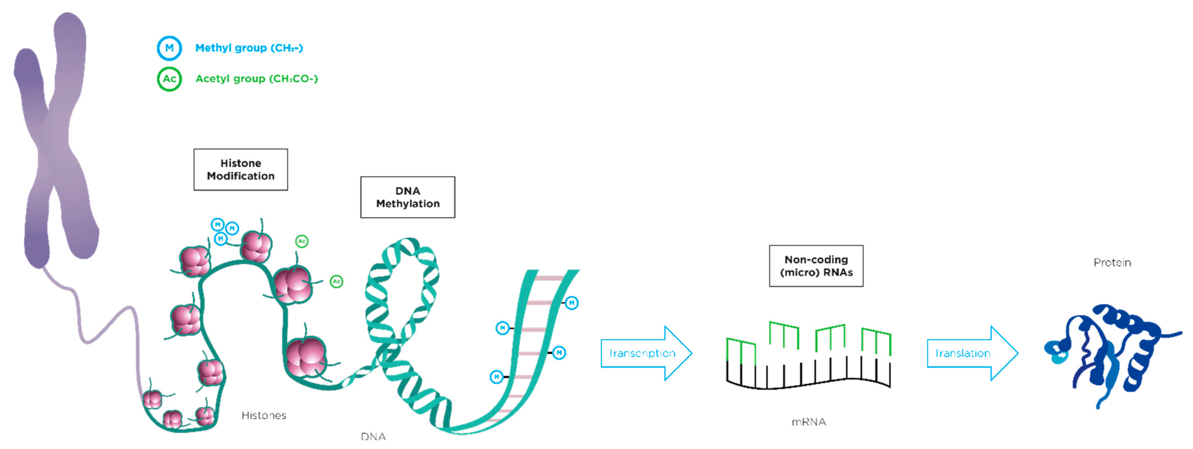 Nutrients 13 03351 g001