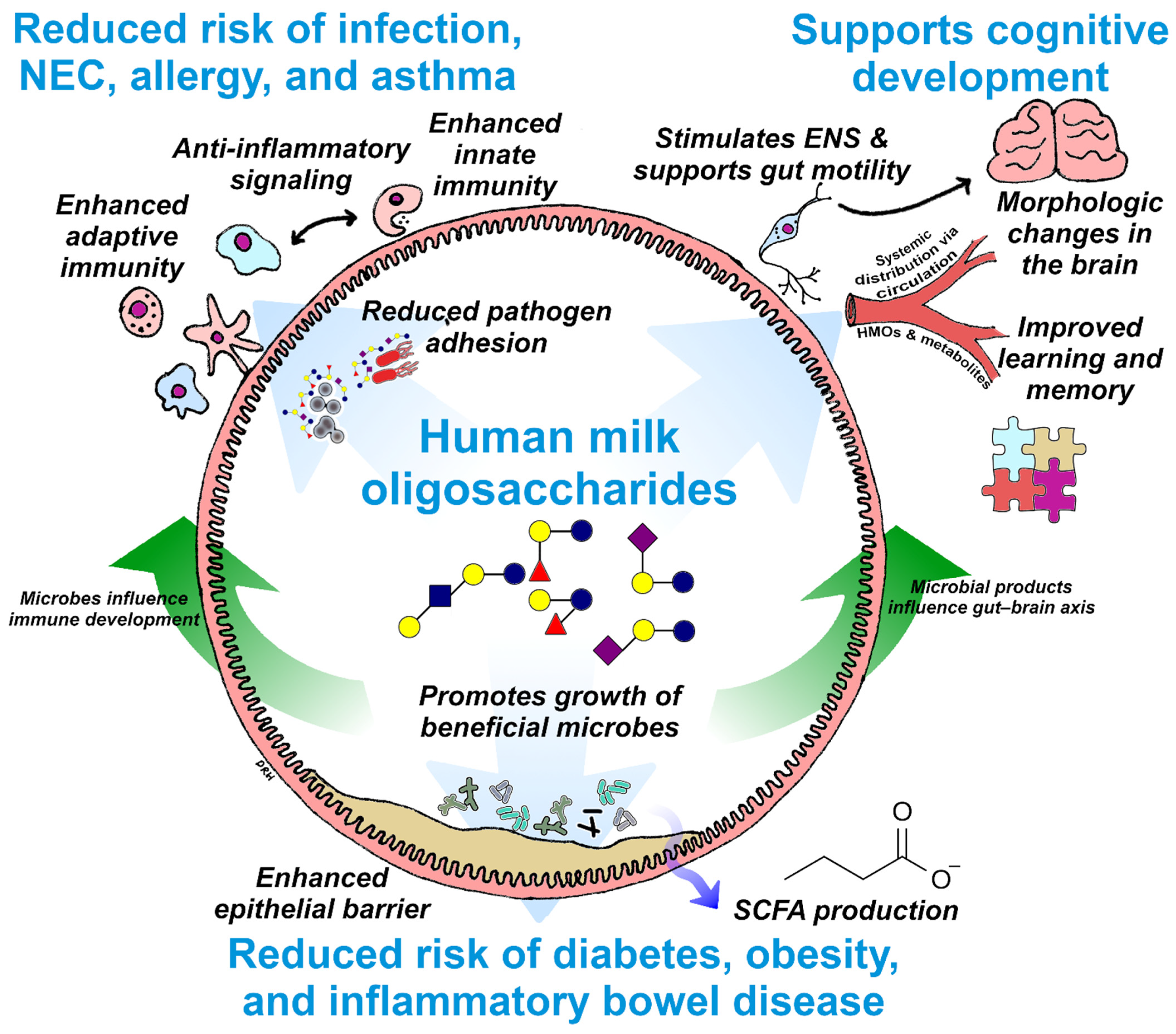 Nutrients 13 03364 g003