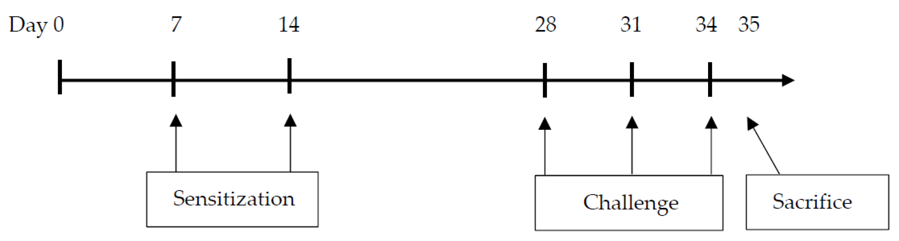 Nutrients 13 03380 g001