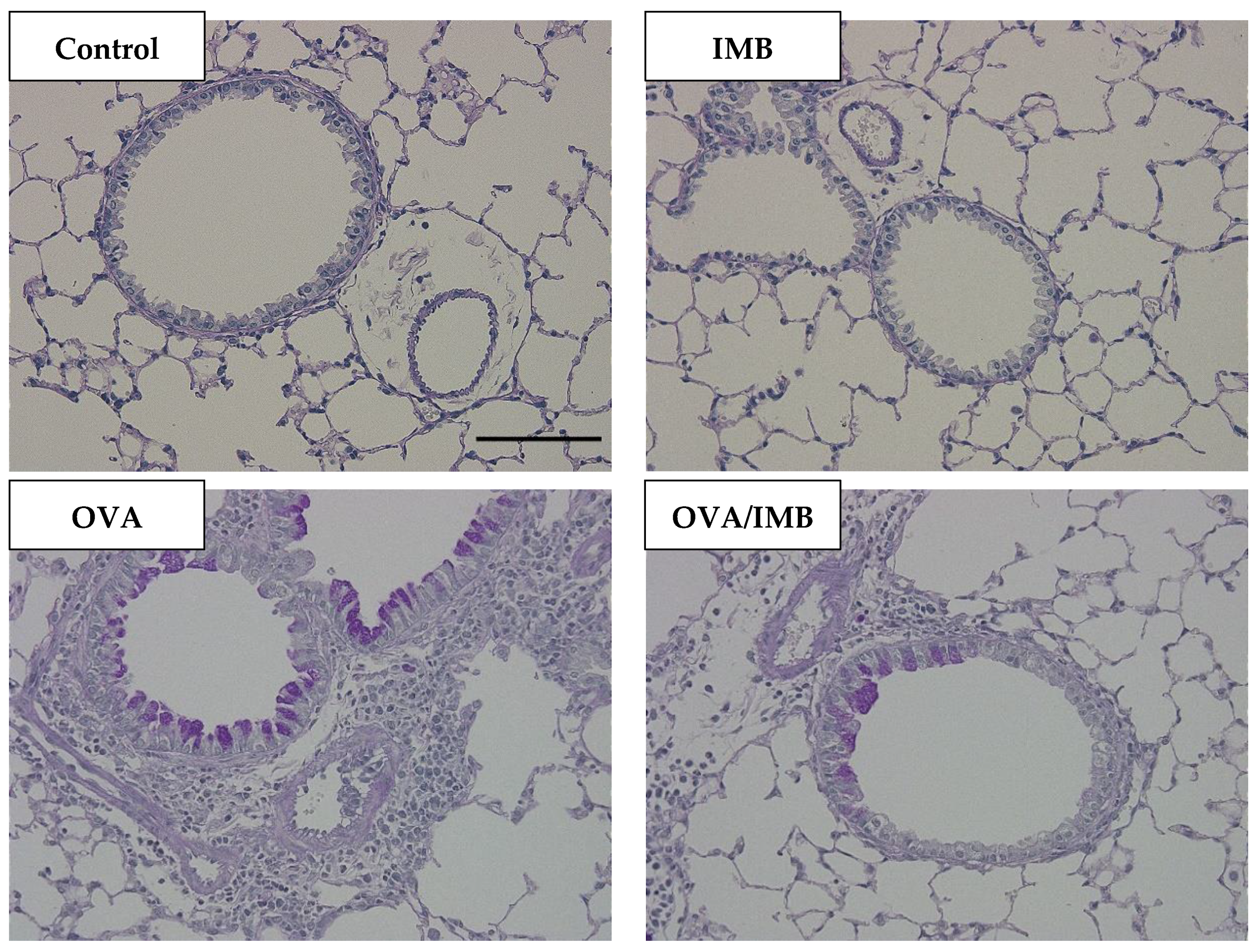 Nutrients 13 03380 g007