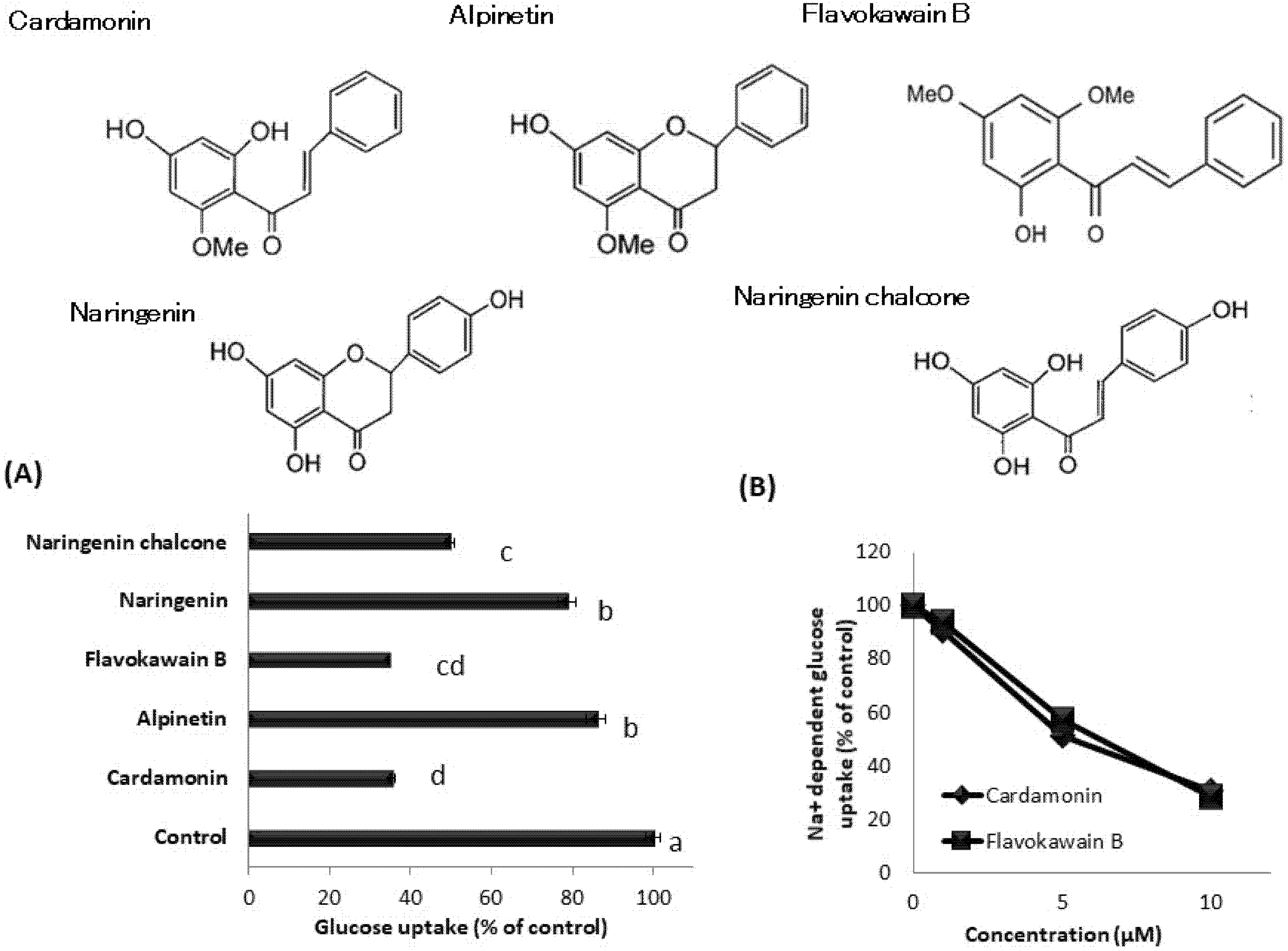 Nutrients 13 03382 g007 Nutrients 13 03382 g007