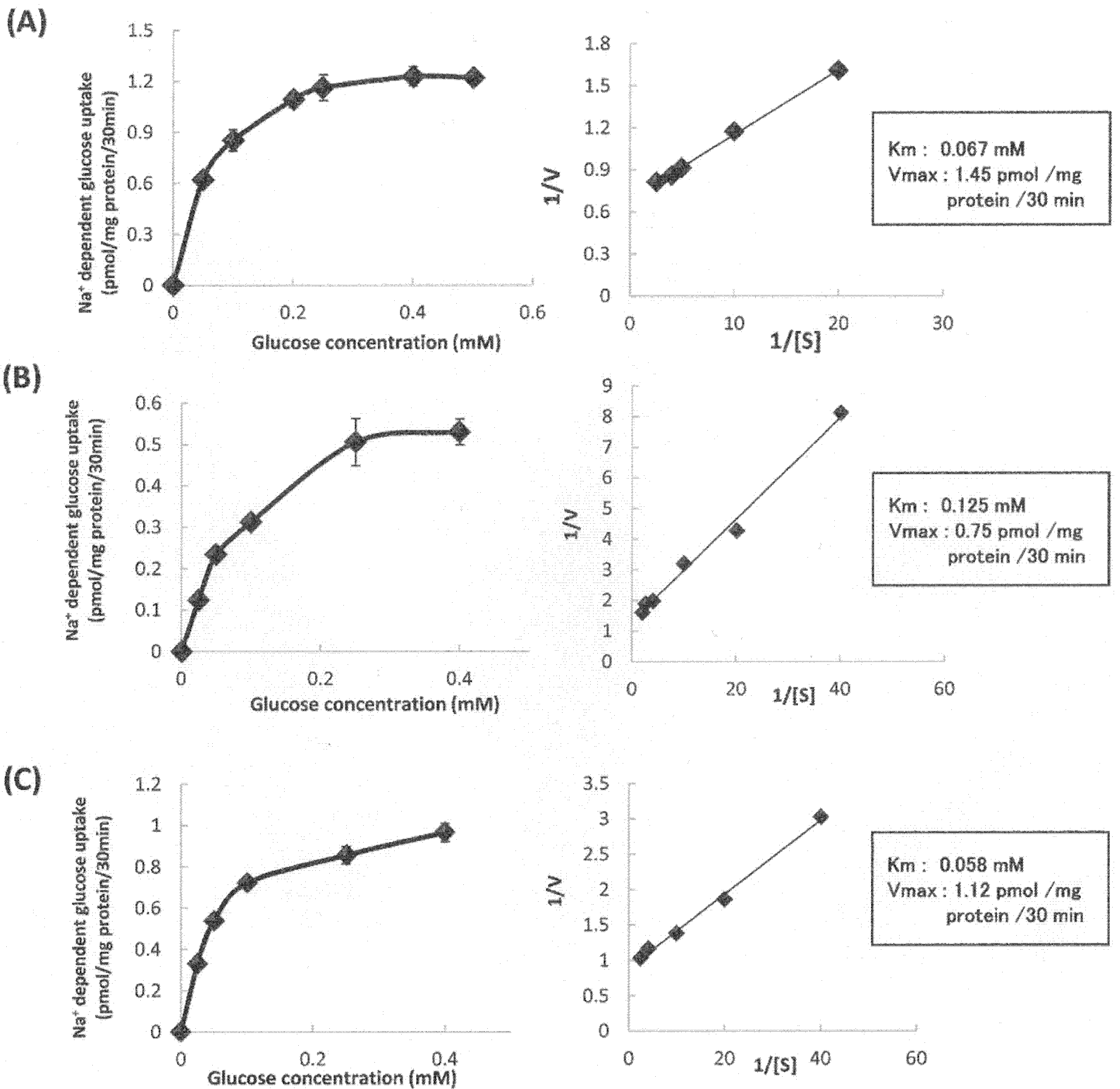 Nutrients 13 03382 g008 Nutrients 13 03382 g008