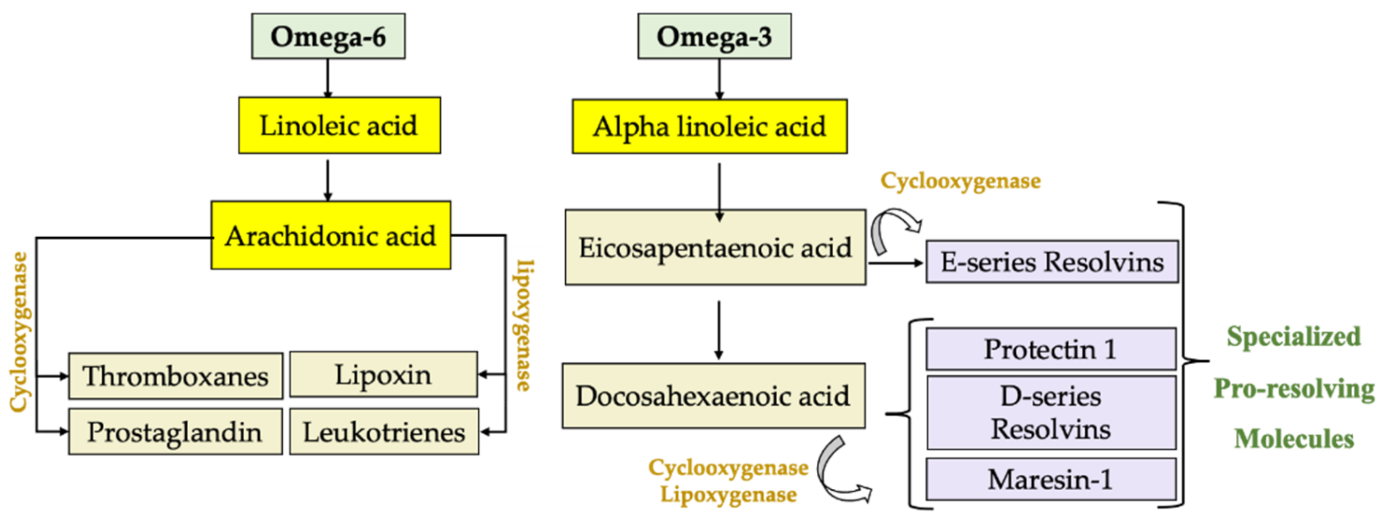 Nutrients 13 03384 g001 Nutrients 13 03384 g001