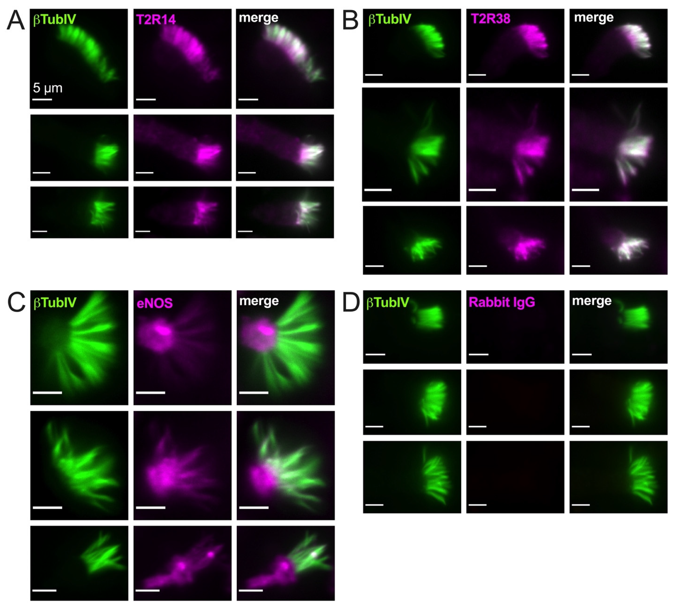Nutrients 13 03392 g002