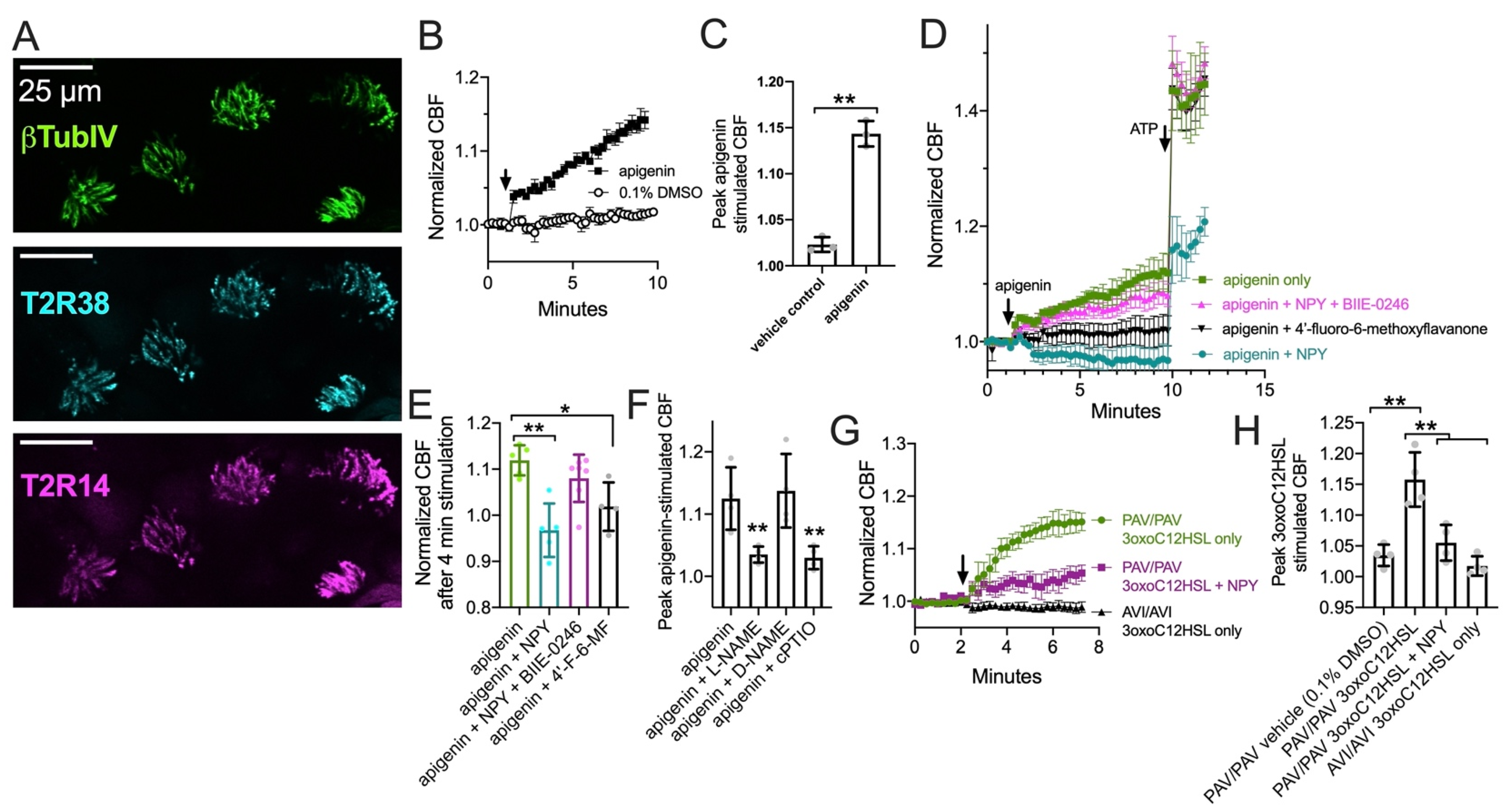 Nutrients 13 03392 g003