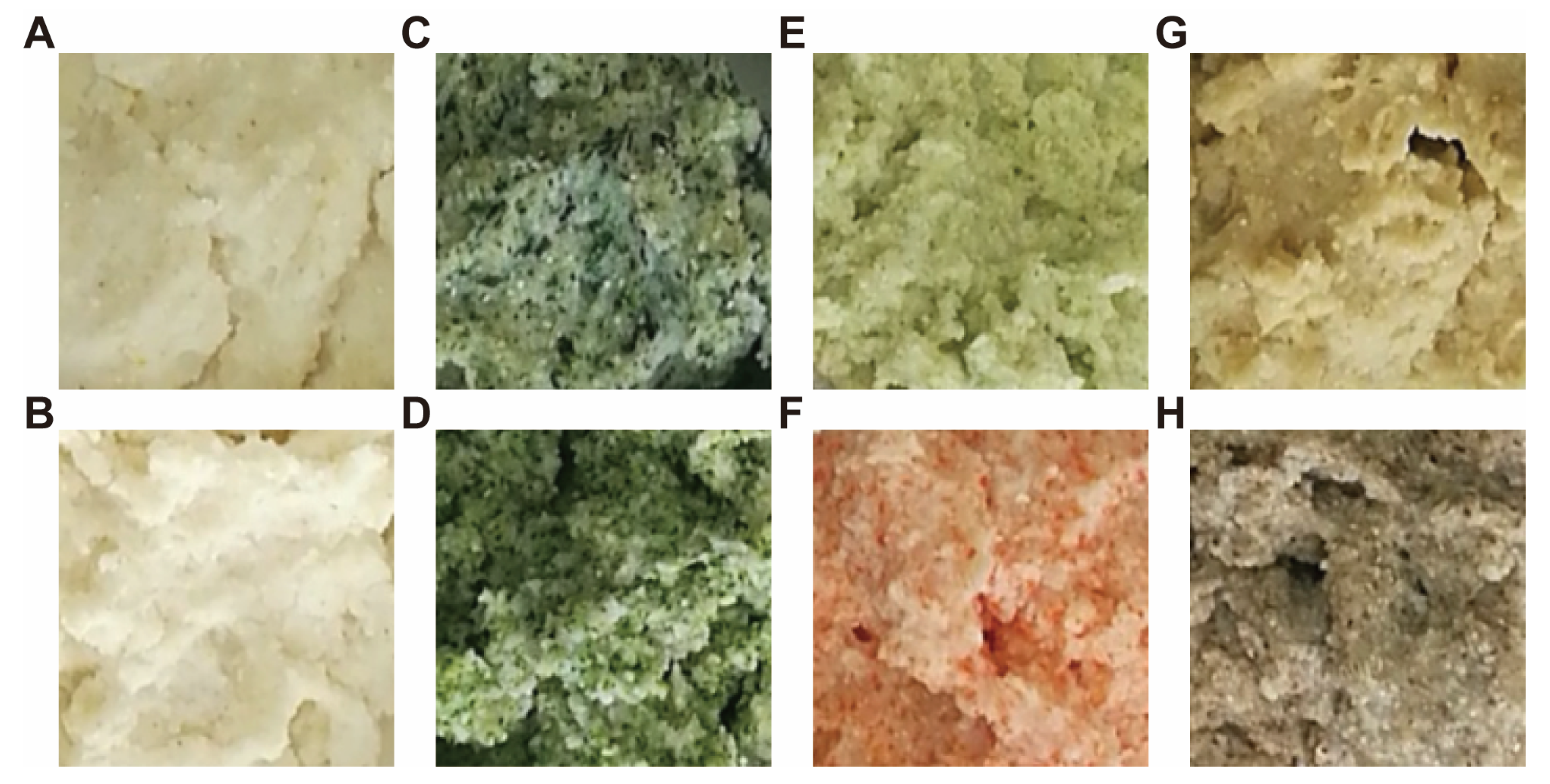 Nutrients 13 03405 g003