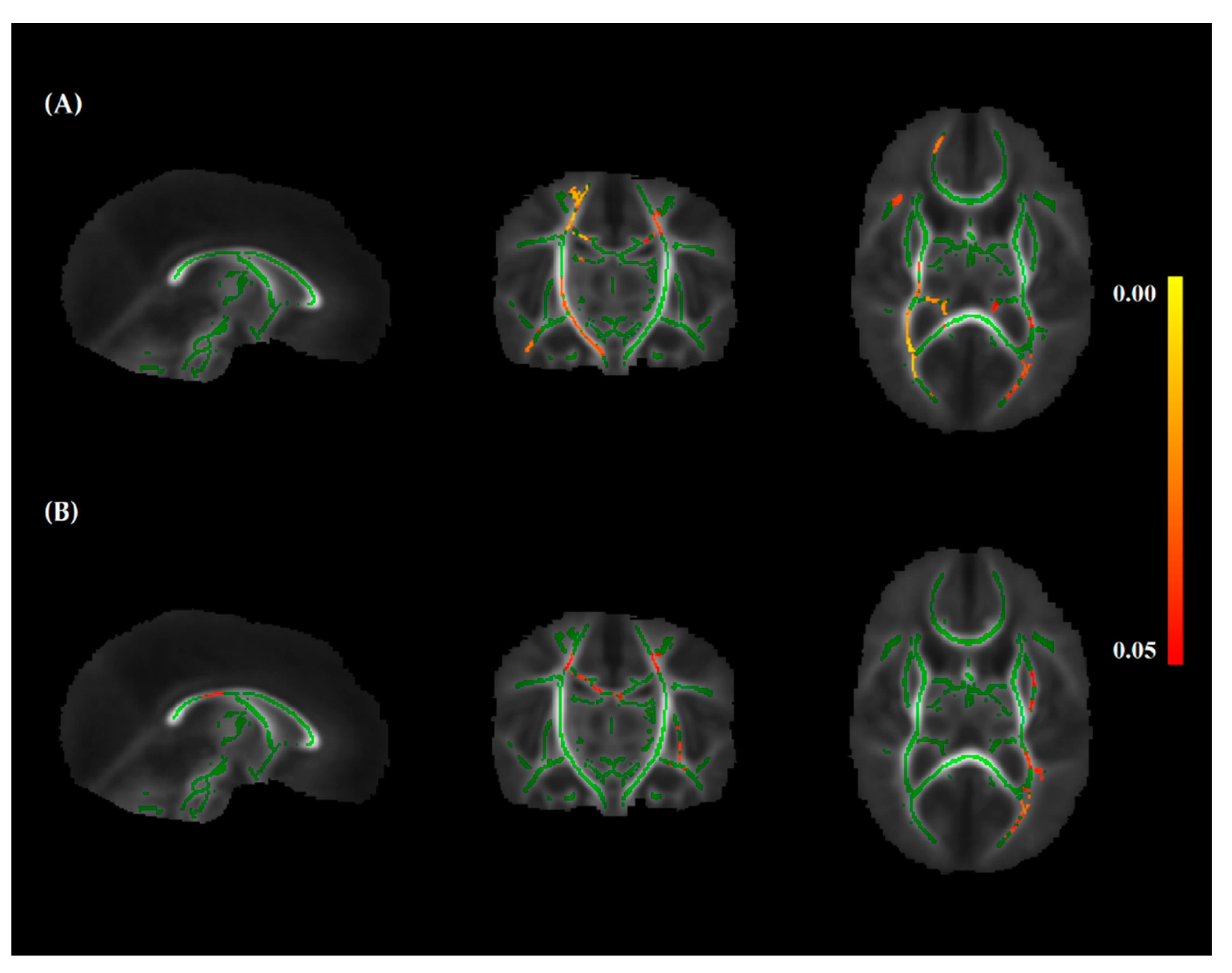 Nutrients 13 03409 g002