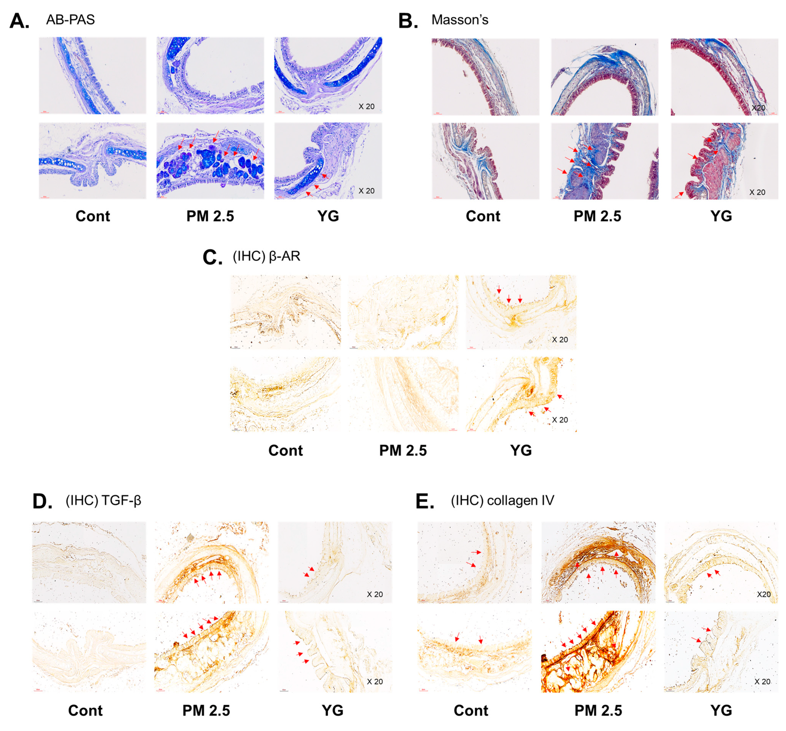 Nutrients 13 03414 g005