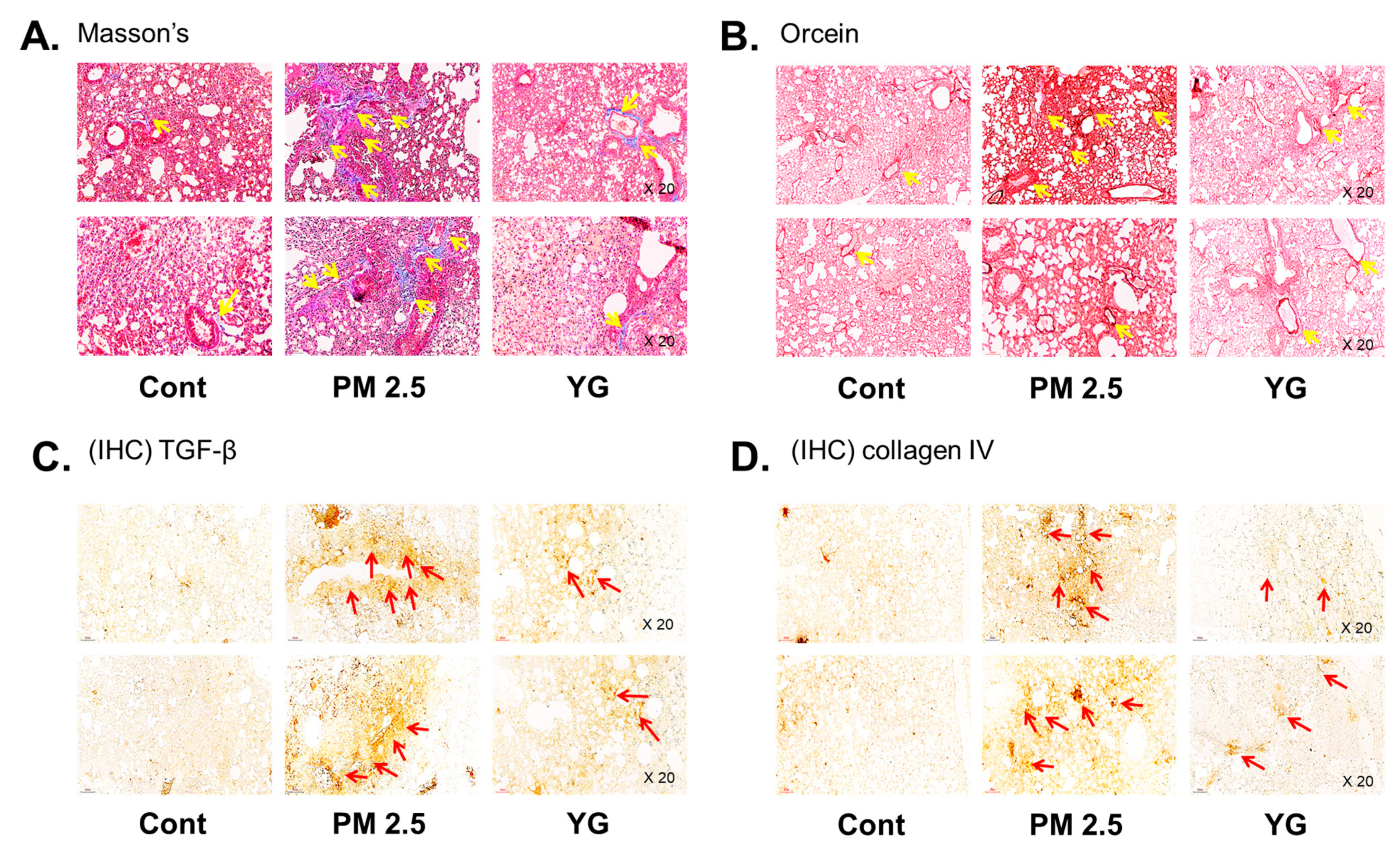 Nutrients 13 03414 g006