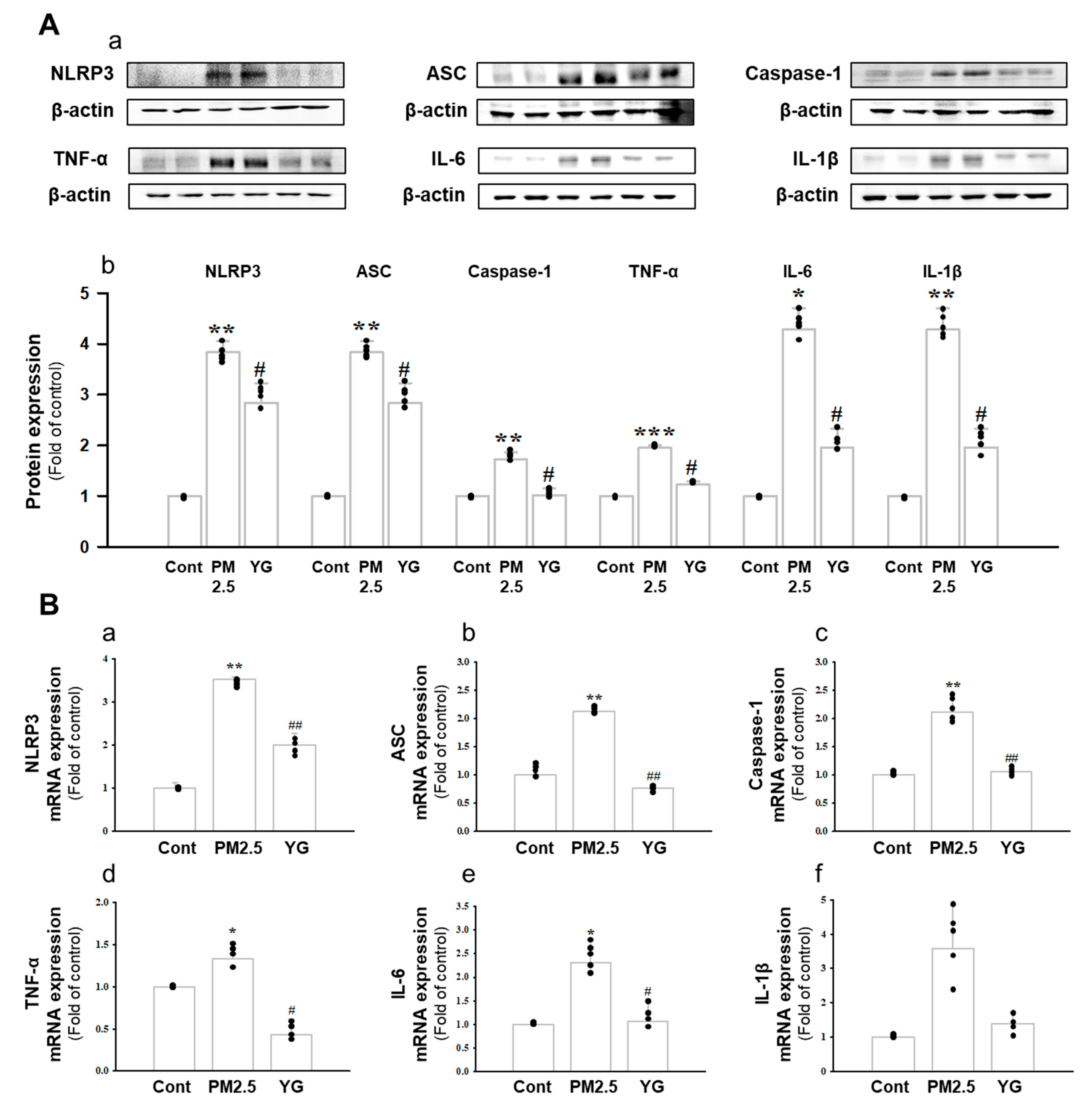 Nutrients 13 03414 g008