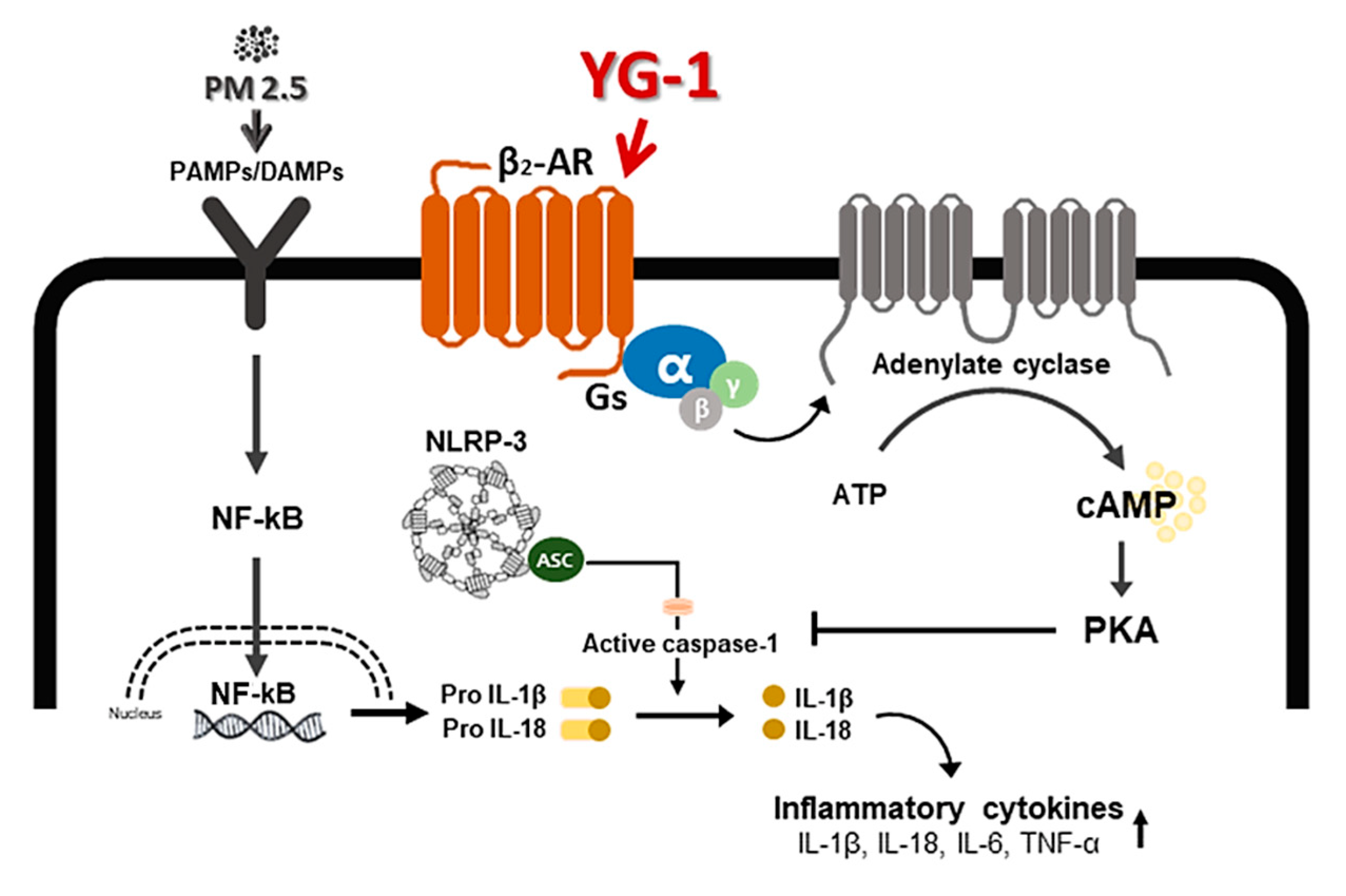Nutrients 13 03414 g009