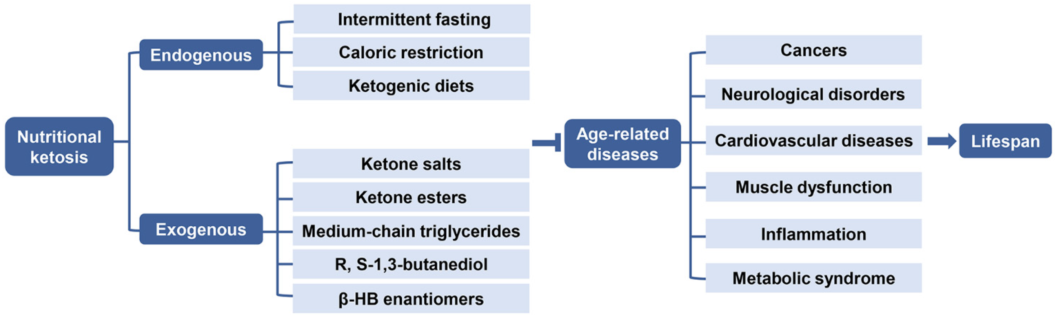 Nutrients 13 03420 g005 Nutrients 13 03420 g005