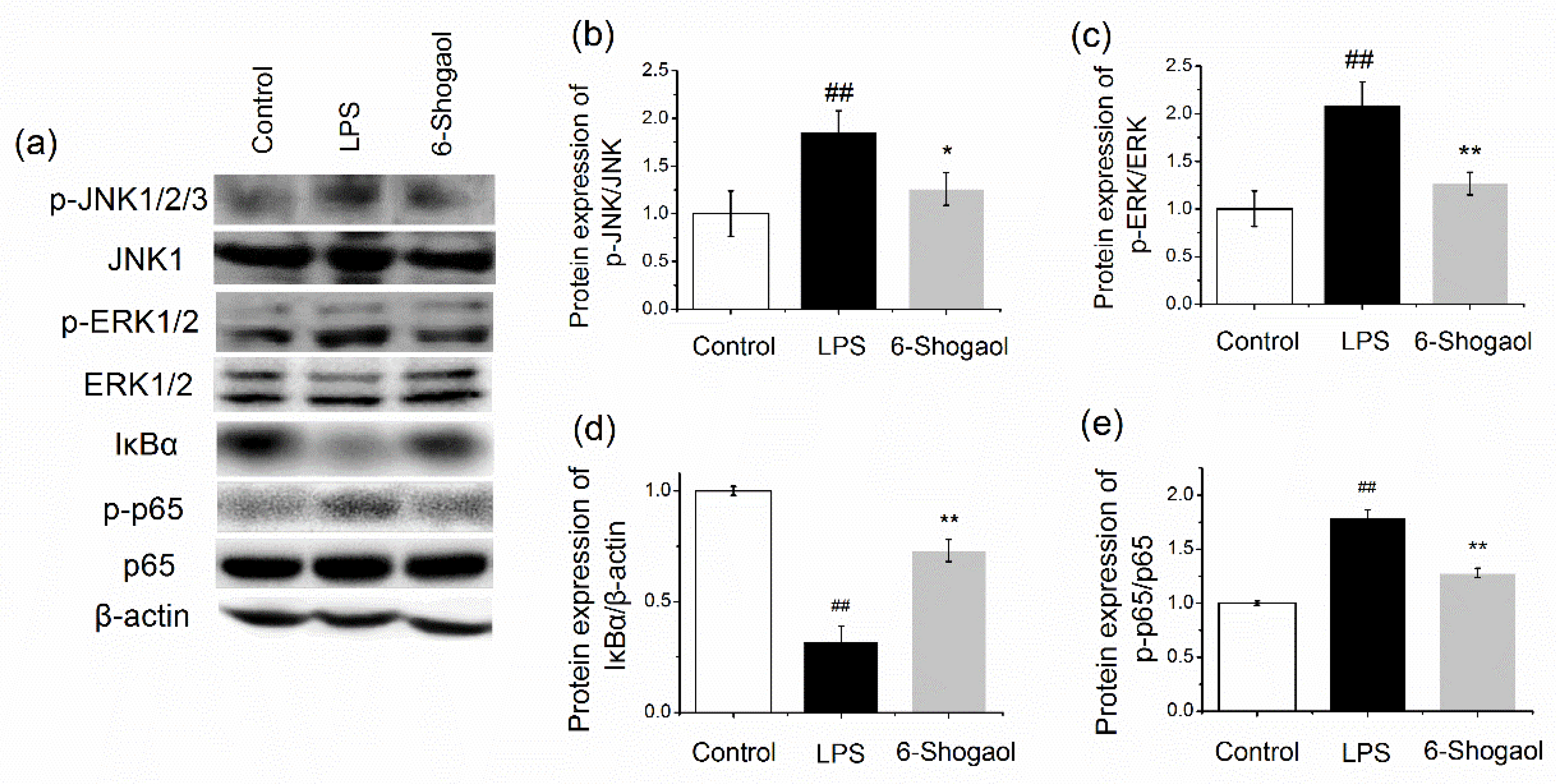 Nutrients 13 03427 g002