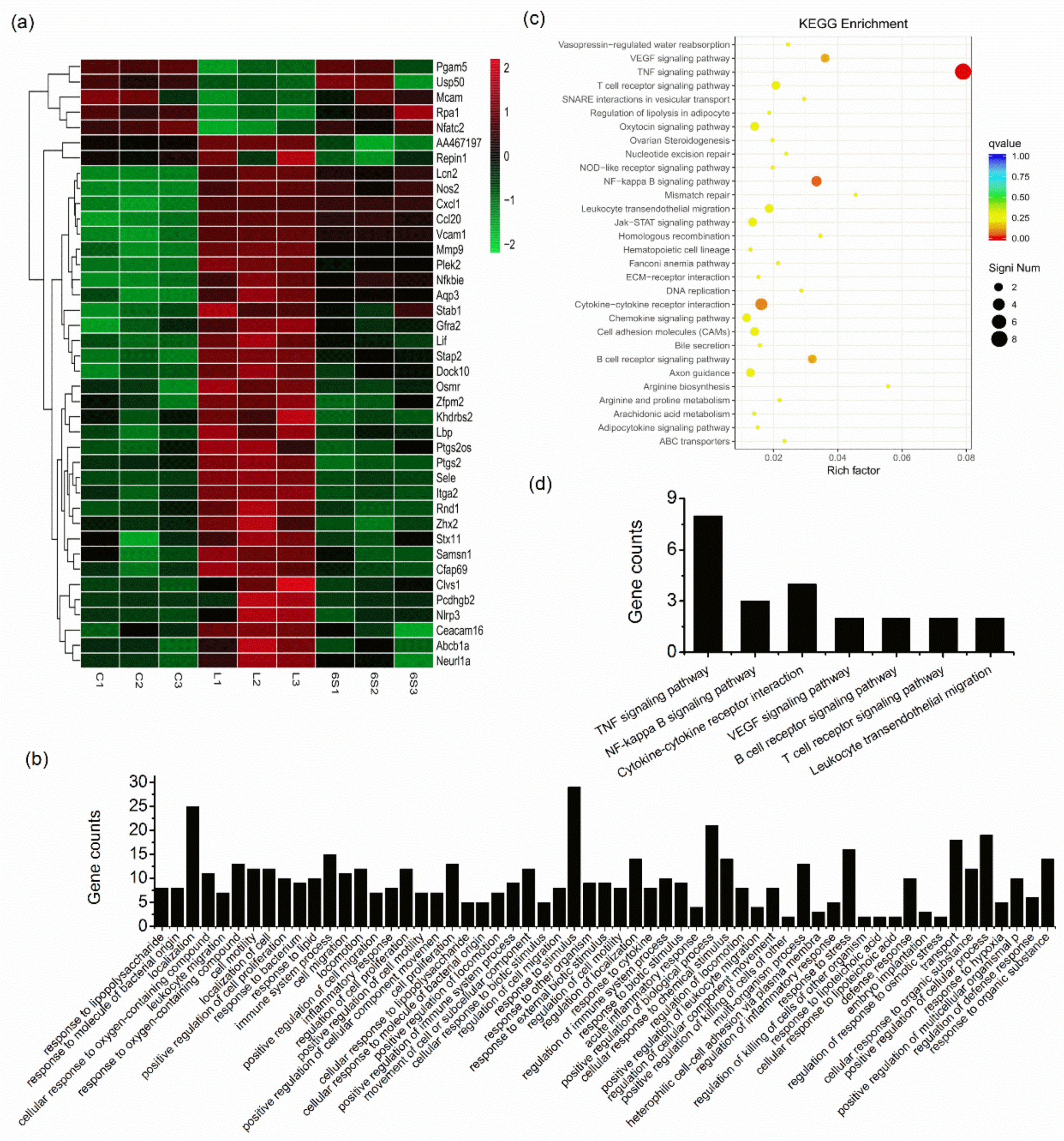 Nutrients 13 03427 g003