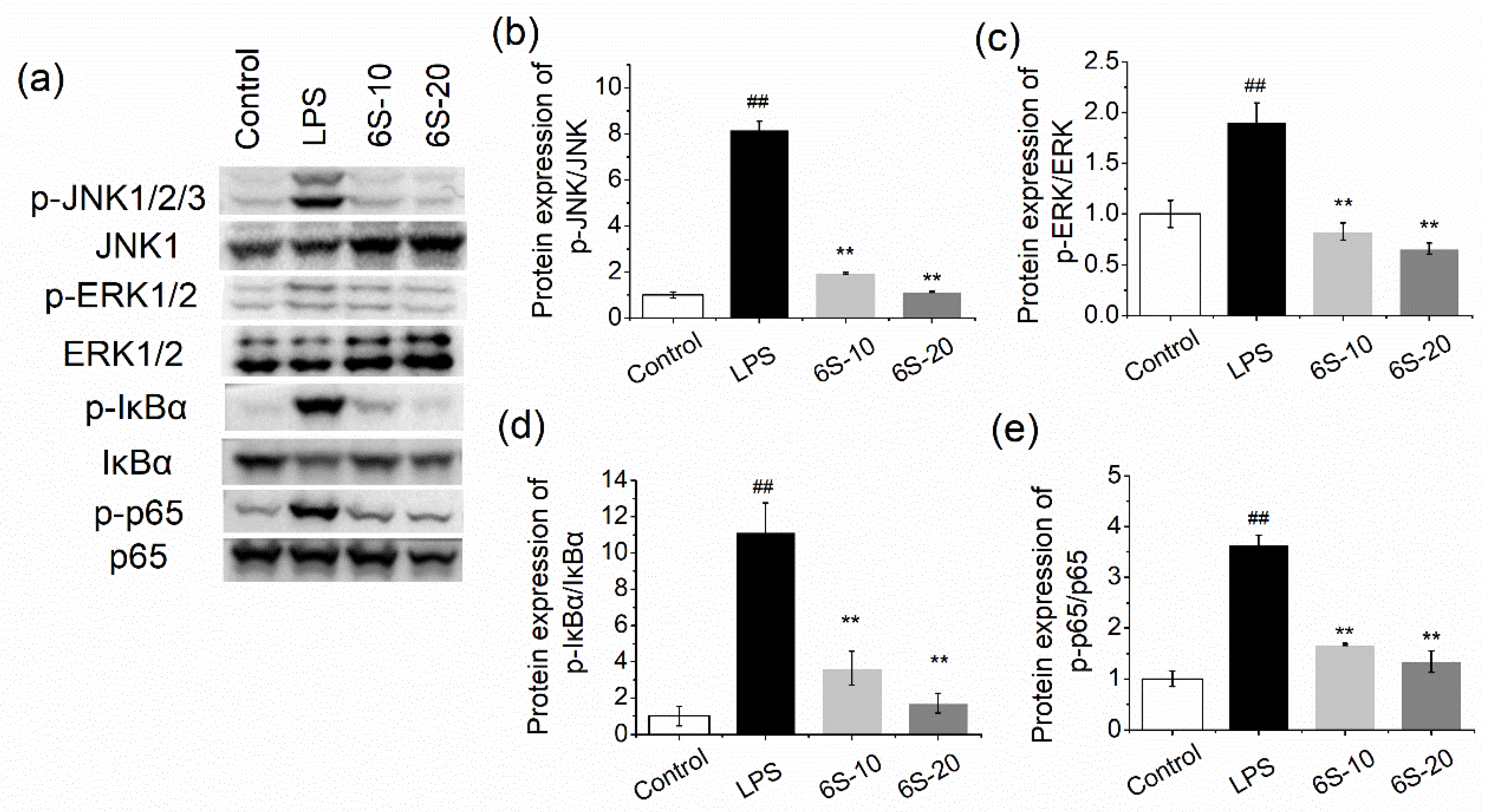 Nutrients 13 03427 g007