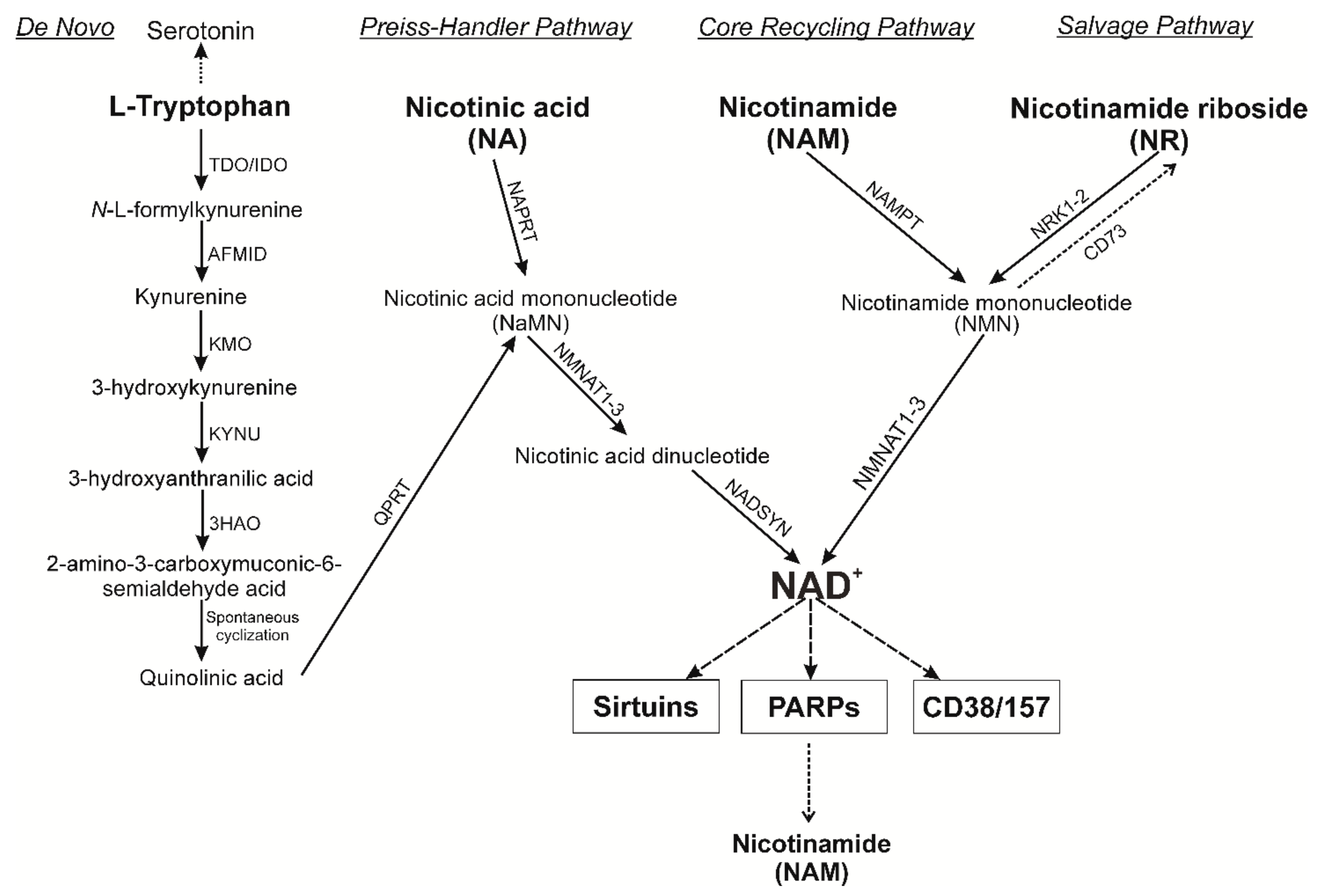 Nutrients 13 03435 g002