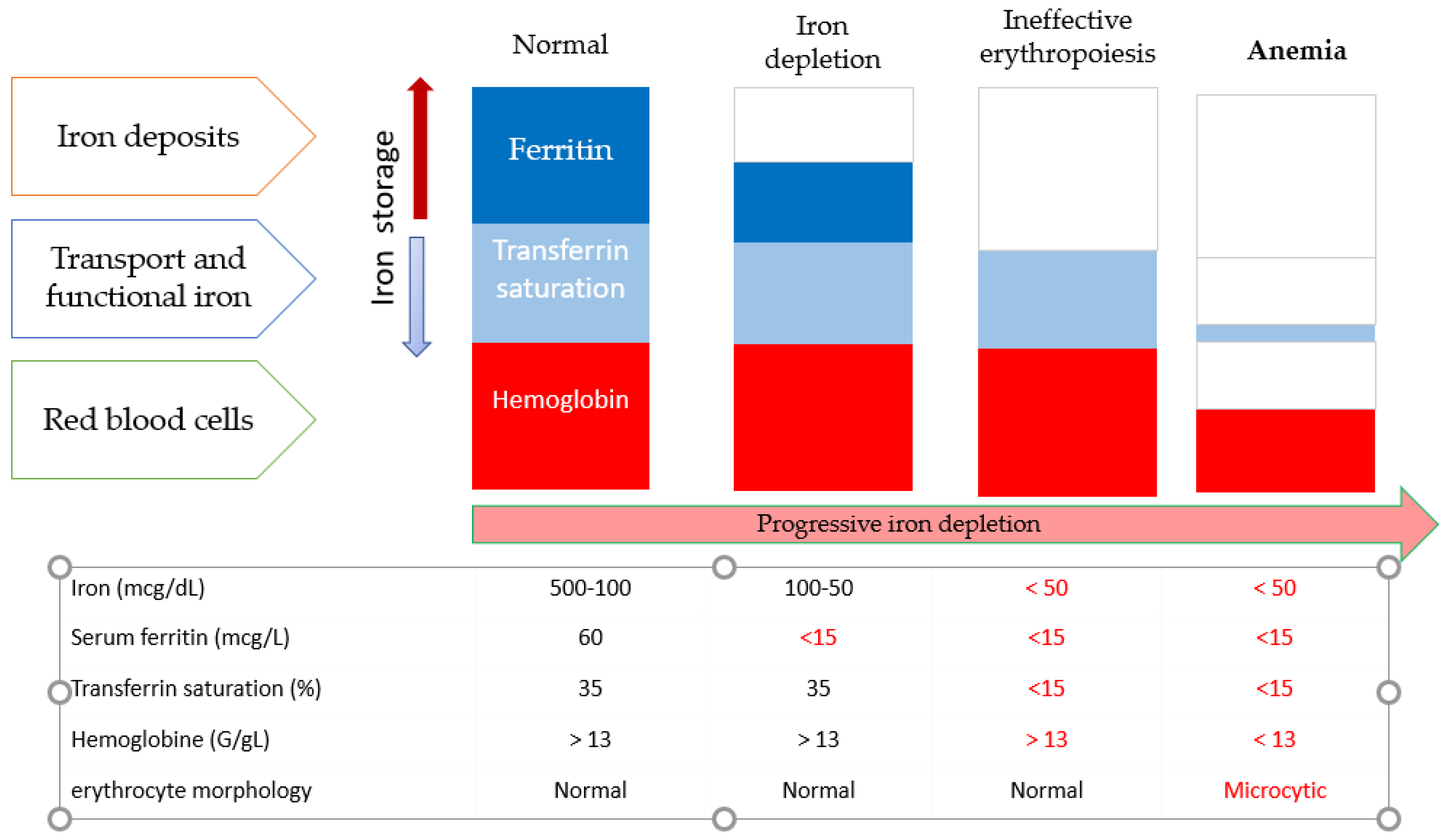 Nutrients 13 03437 g001