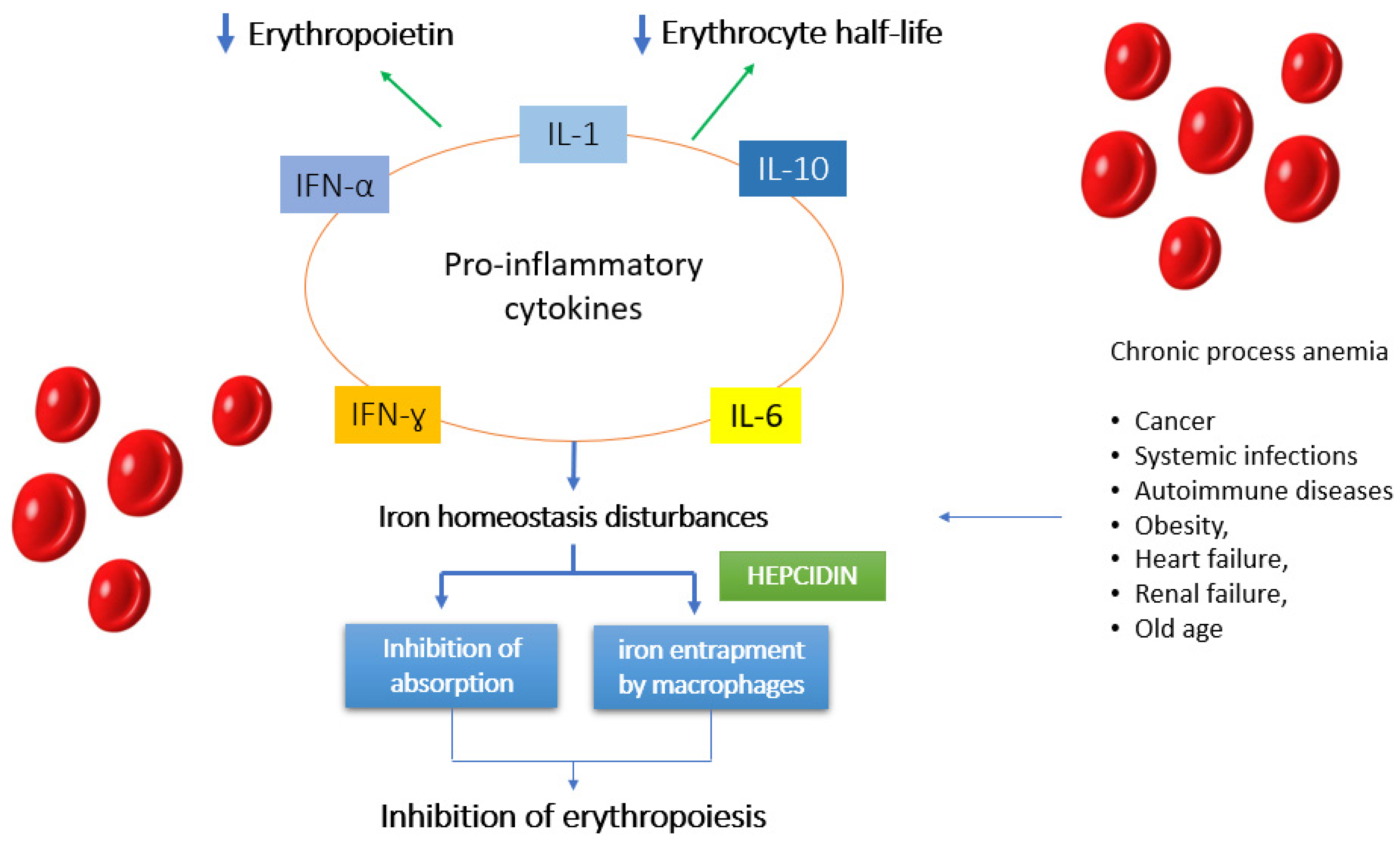 Nutrients 13 03437 g003