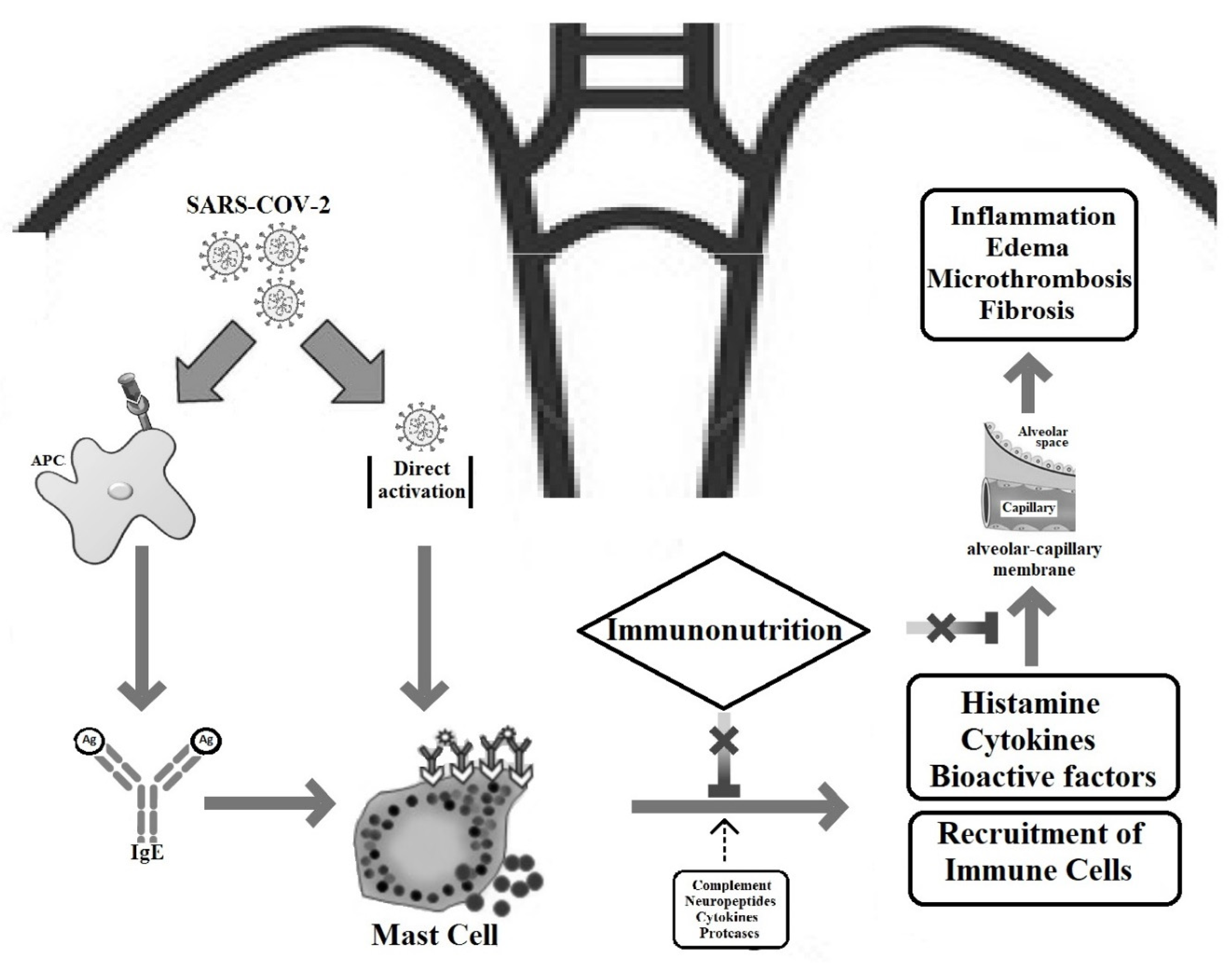 Nutrients 13 03458 g001