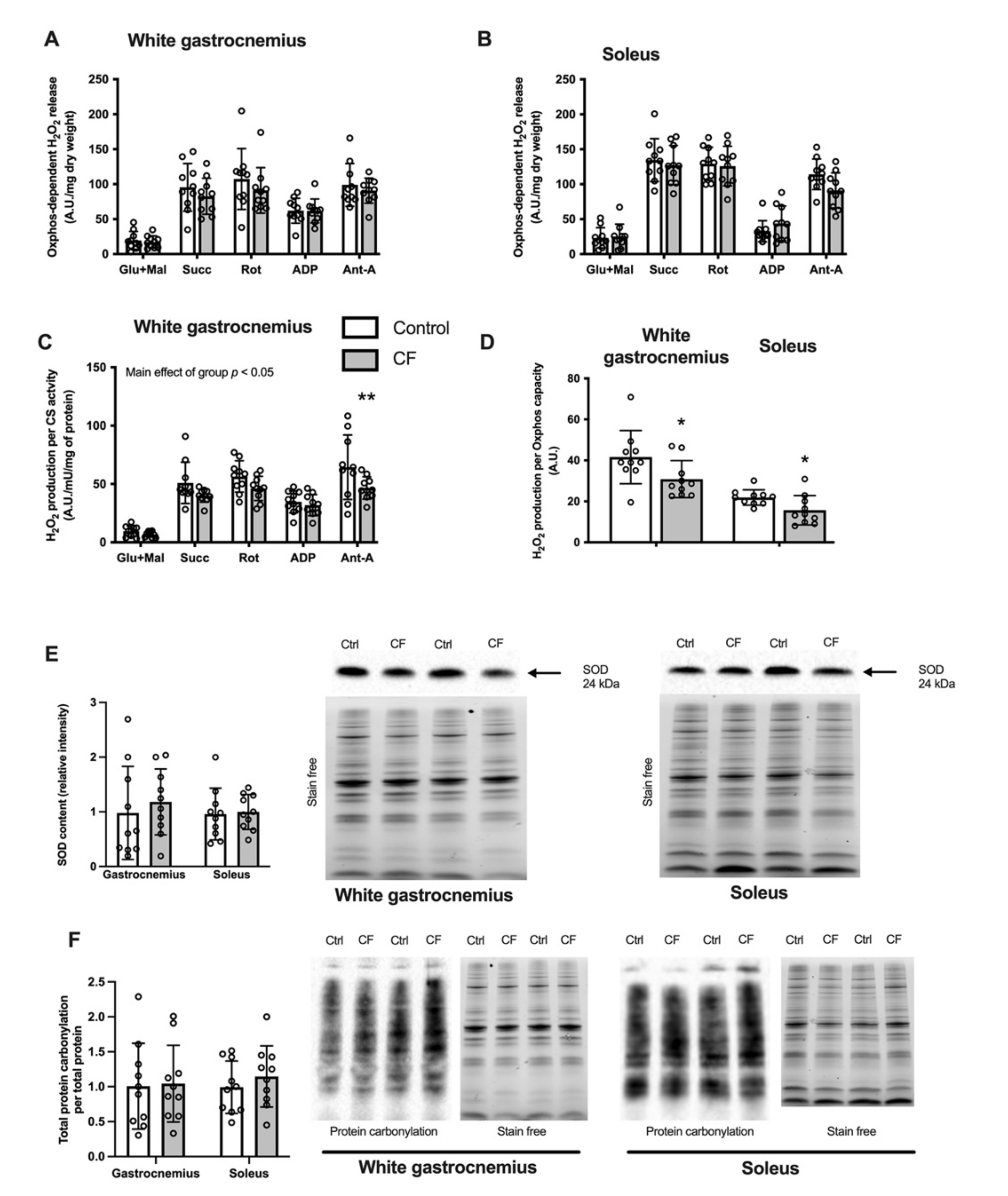 Nutrients 13 03466 g004