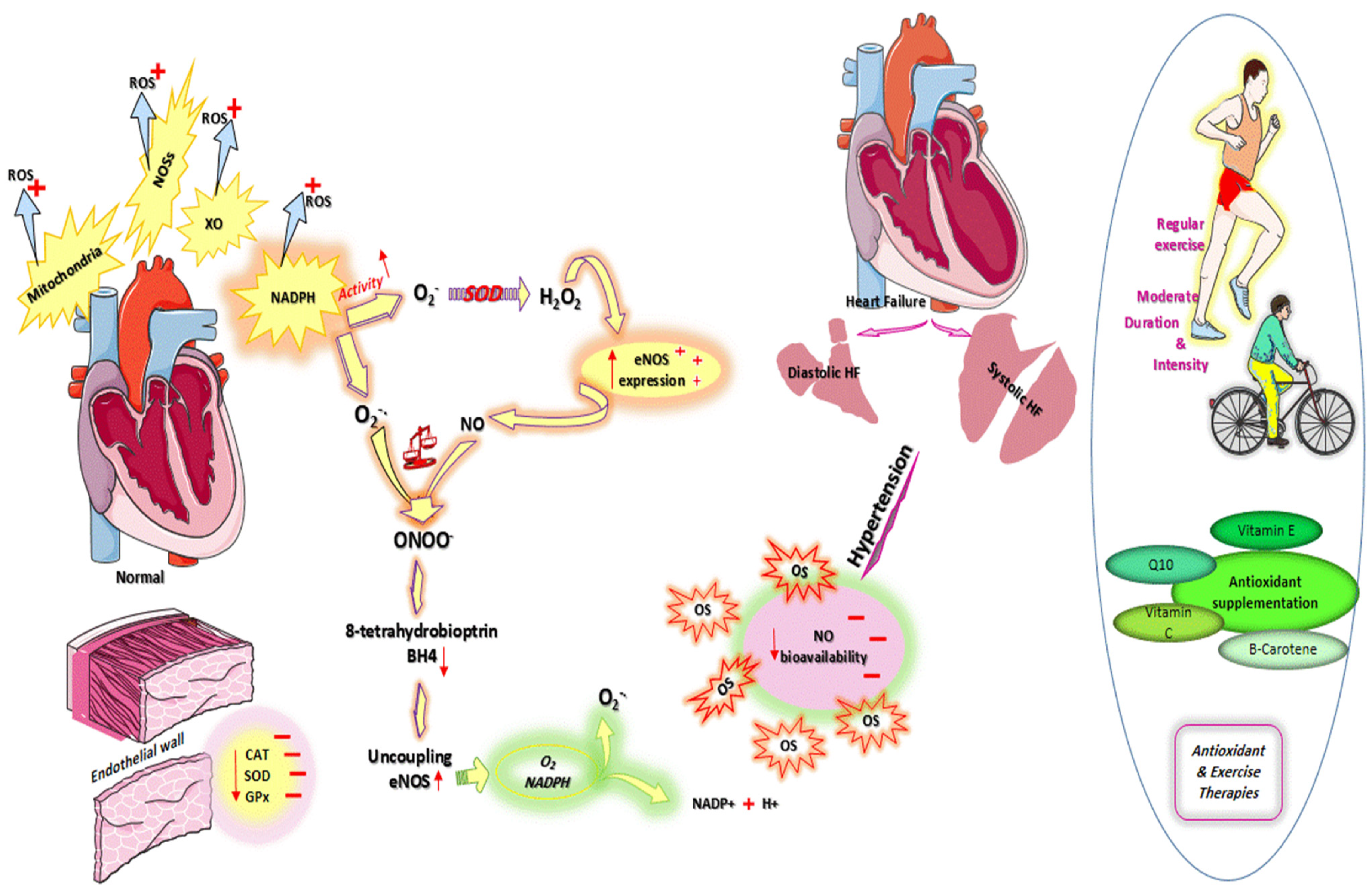 Nutrients 13 03483 g001