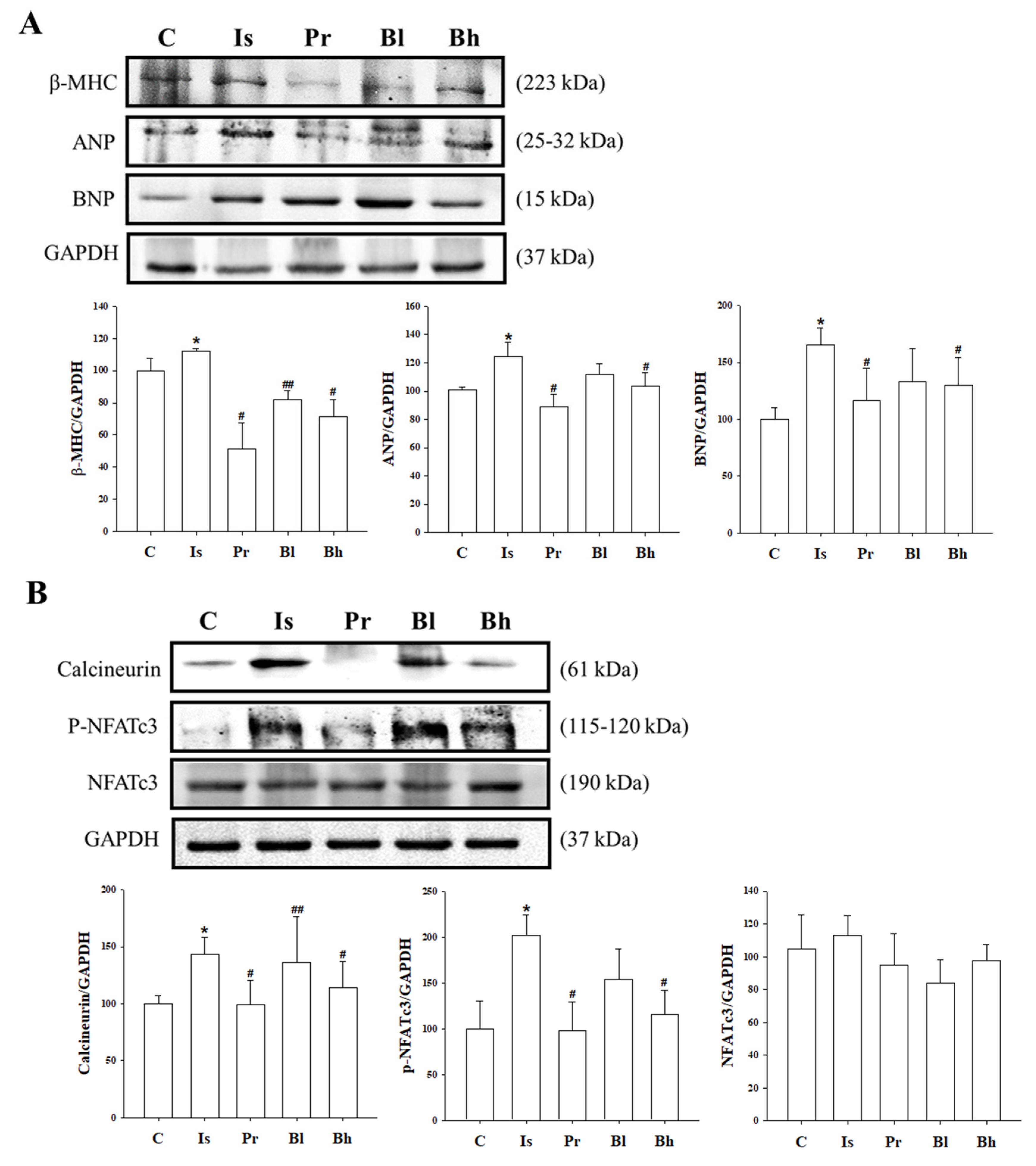 Nutrients 13 03484 g004 Nutrients 13 03484 g004