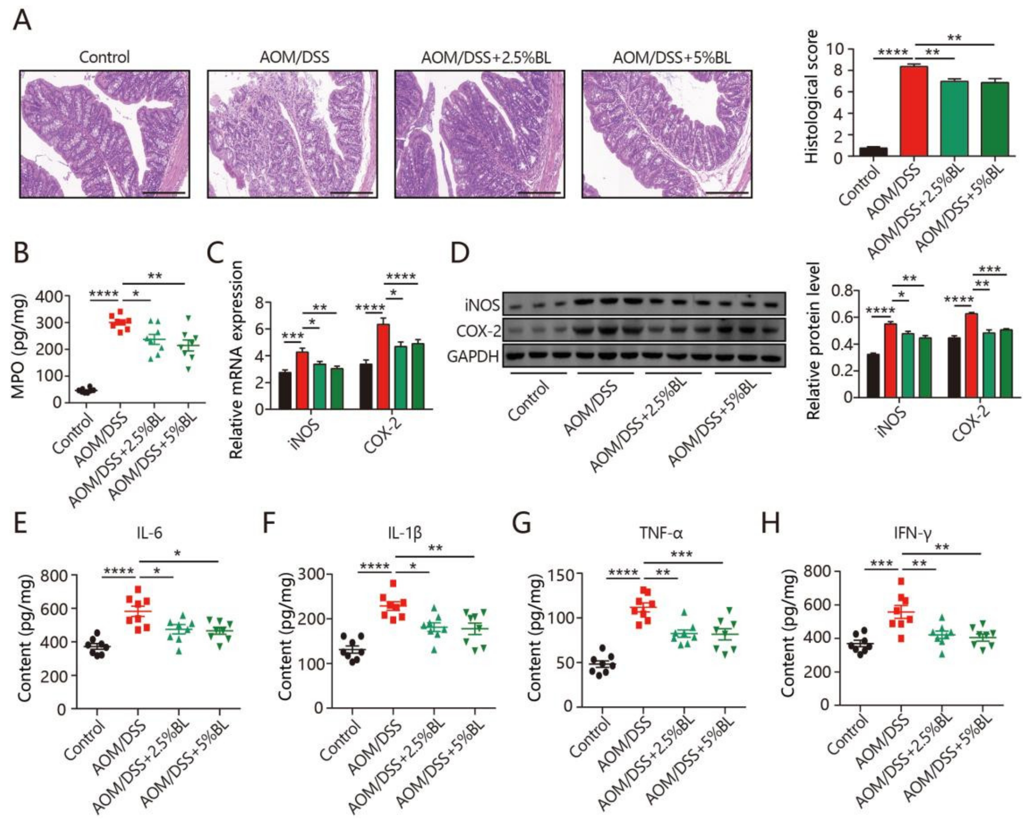 Nutrients 13 03487 g002