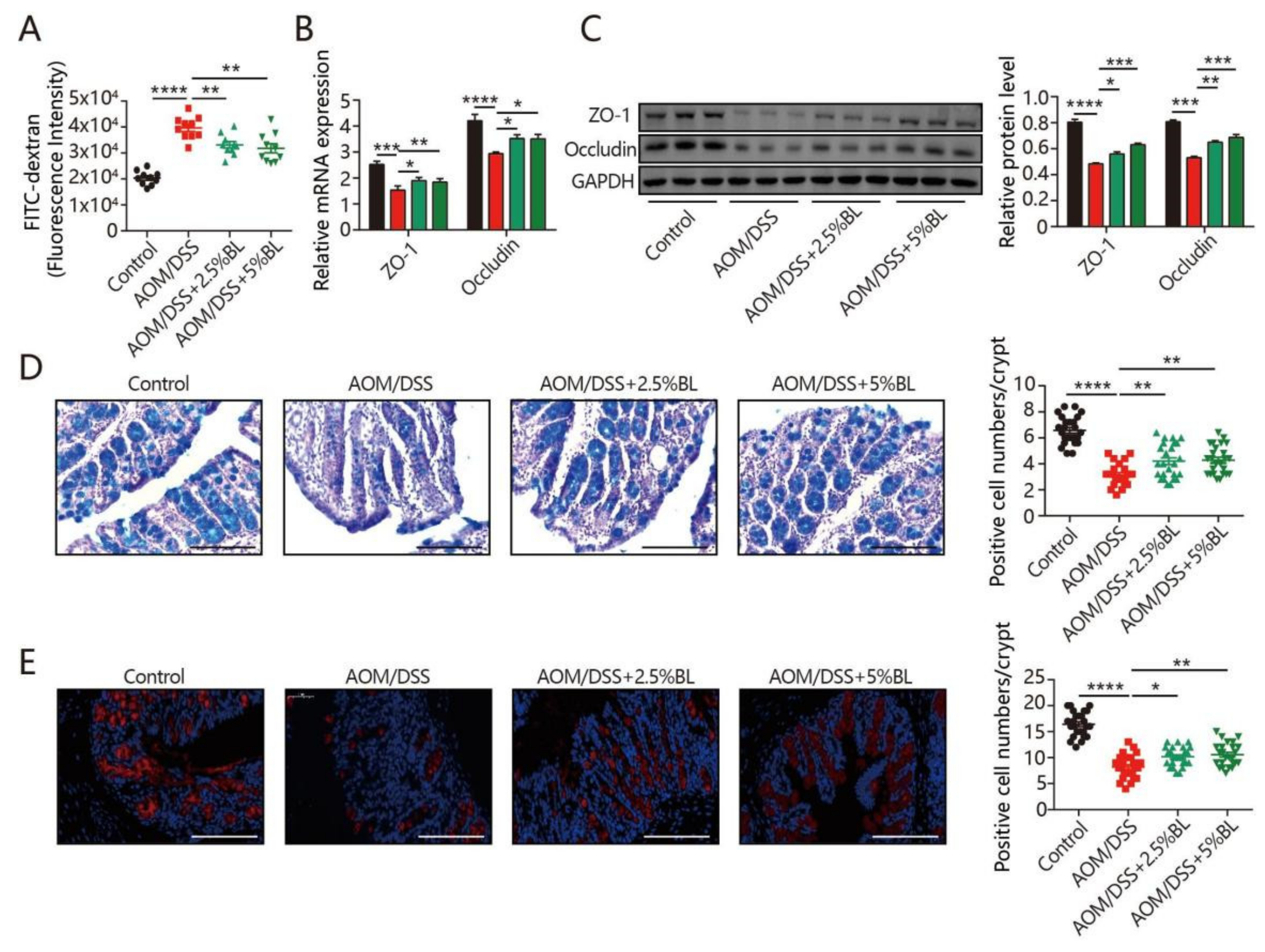 Nutrients 13 03487 g003