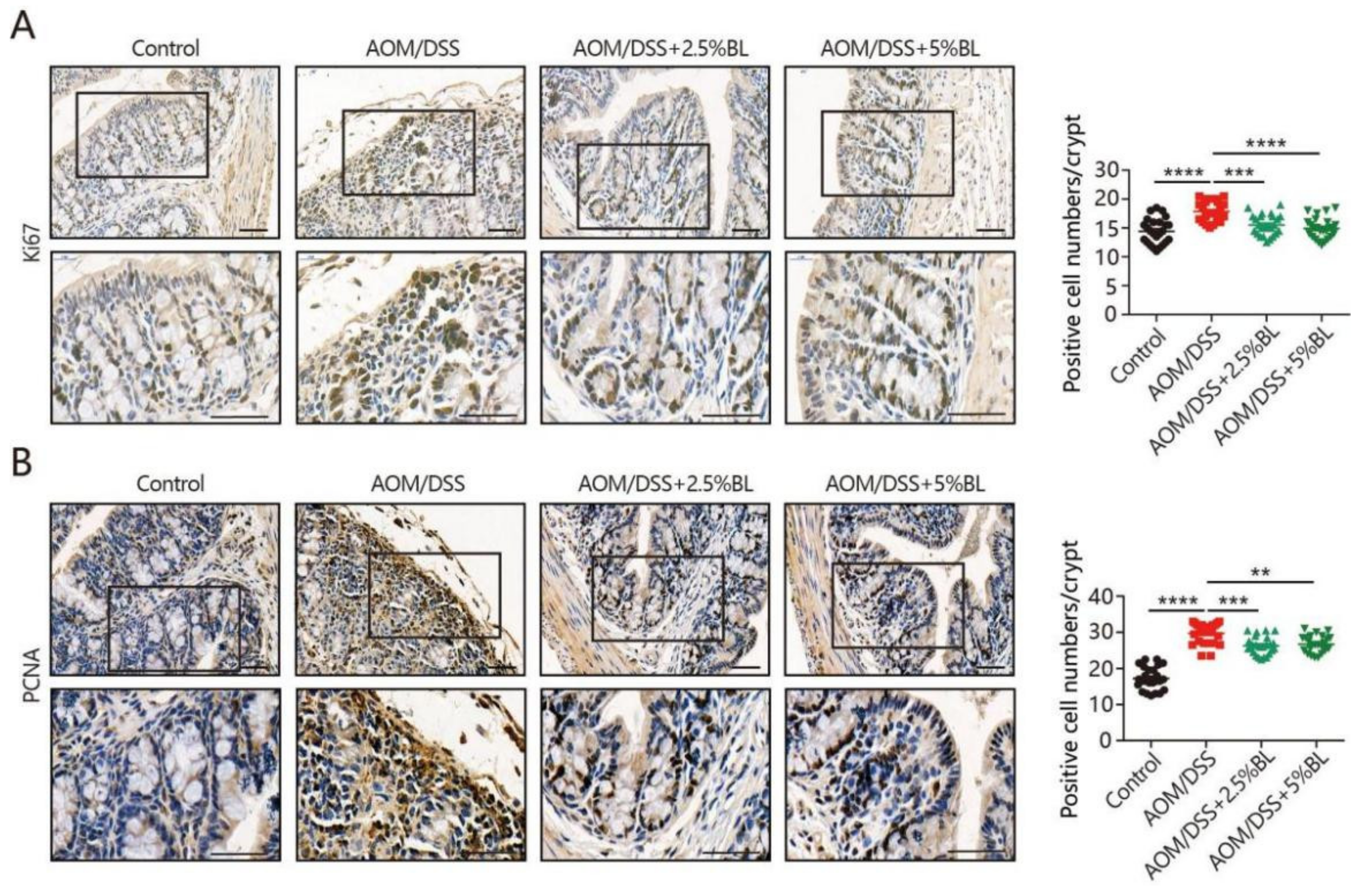Nutrients 13 03487 g004
