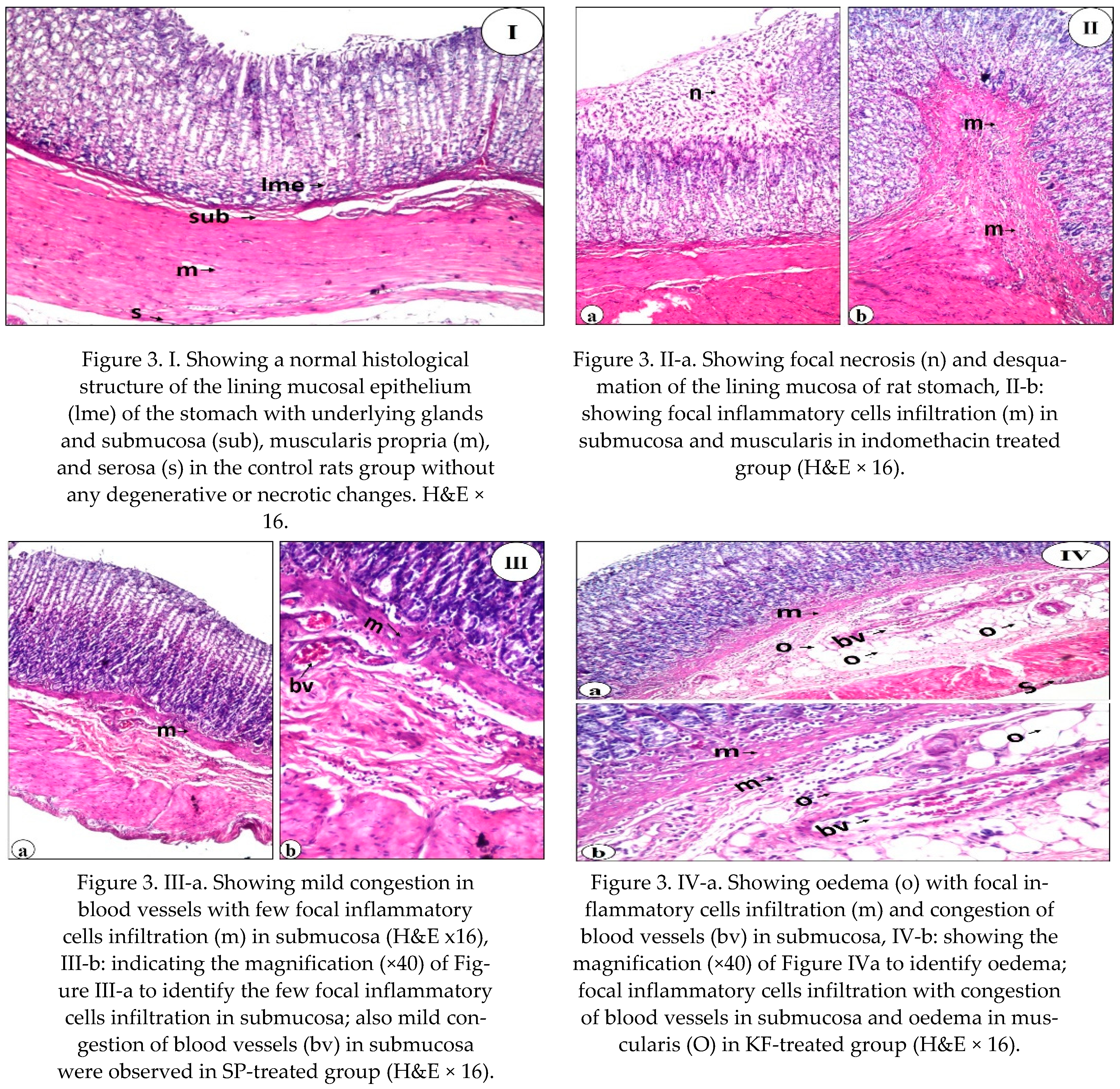 Nutrients 13 03499 g003a Nutrients 13 03499 g003a