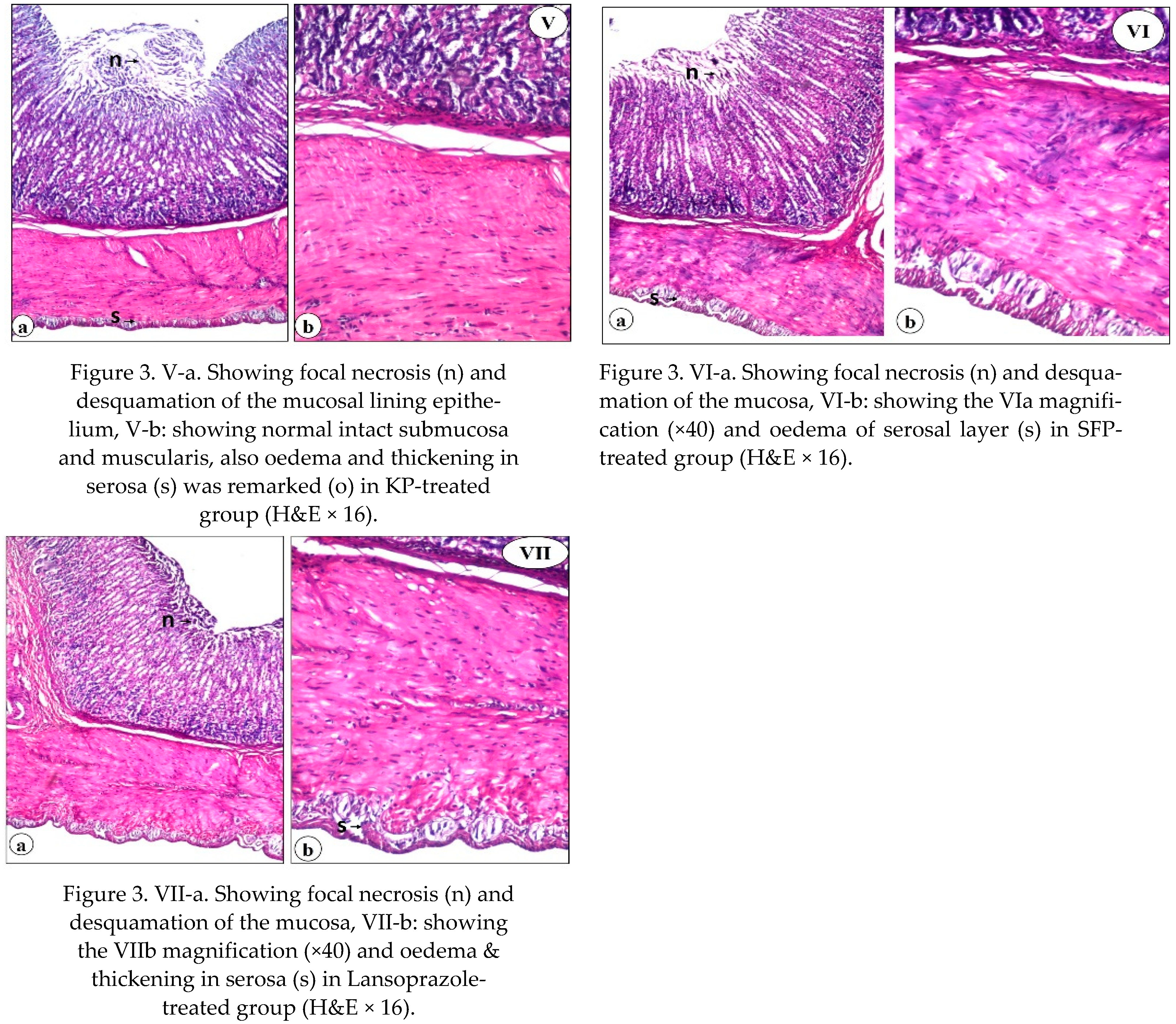 Nutrients 13 03499 g003b Nutrients 13 03499 g003b