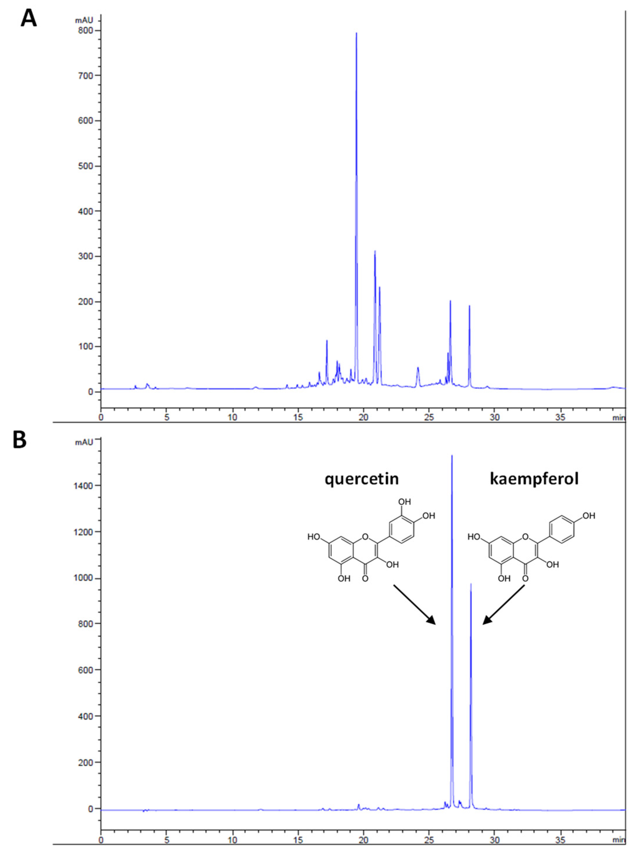 Nutrients 13 03505 g001