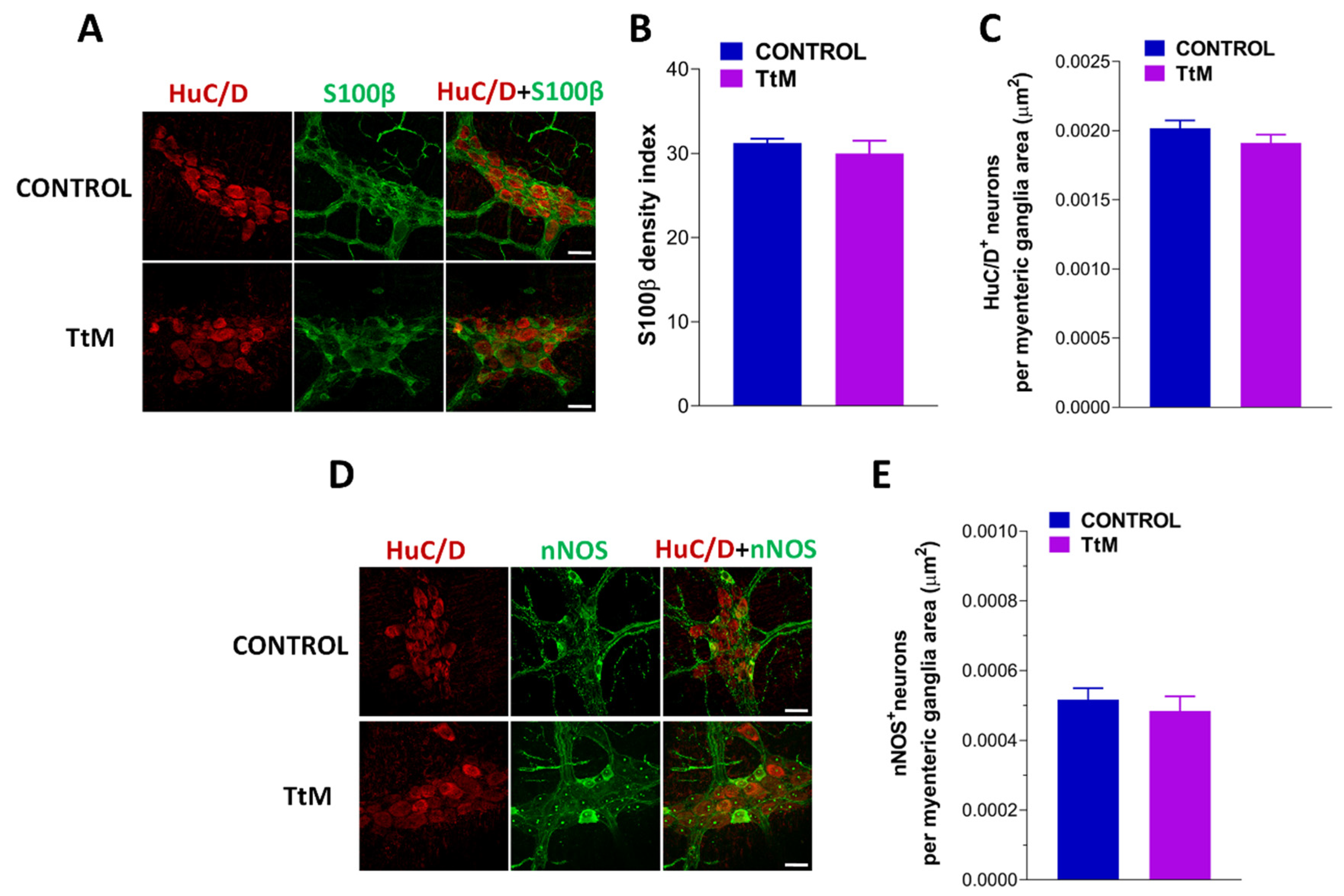 Nutrients 13 03505 g009