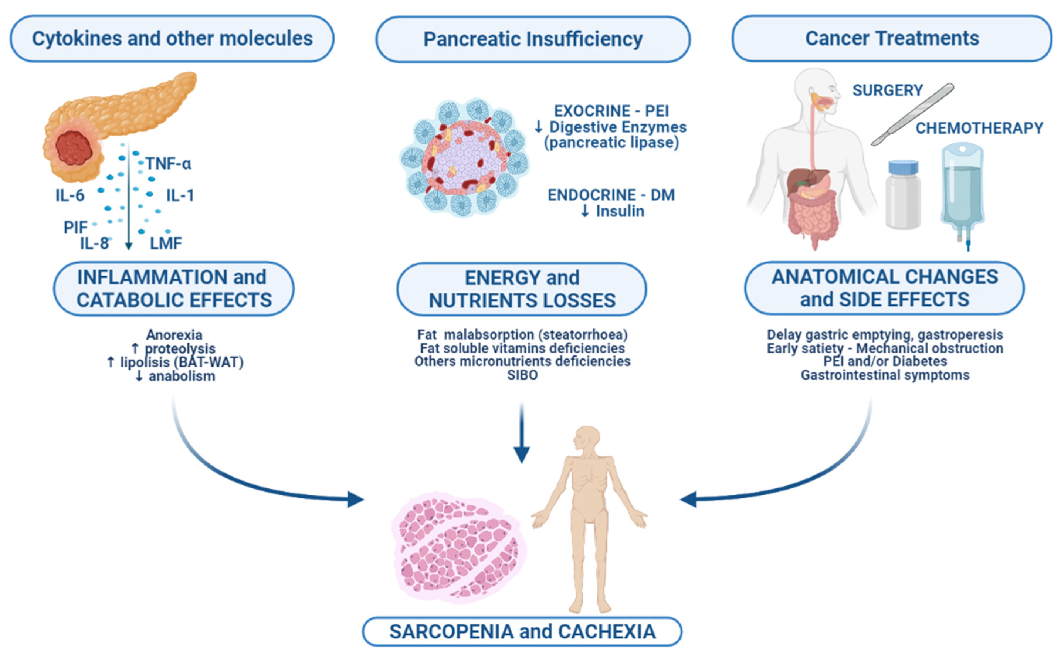 Nutrients 13 03522 g001