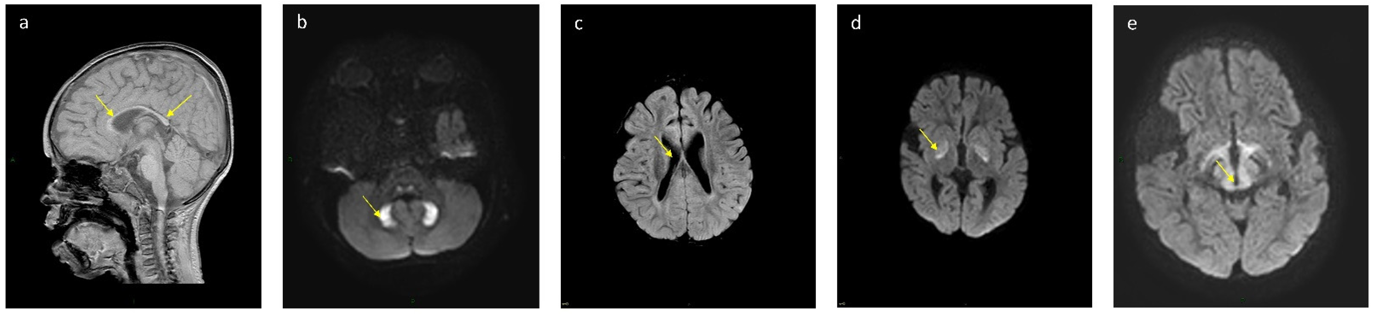 Nutrients 13 03523 g001