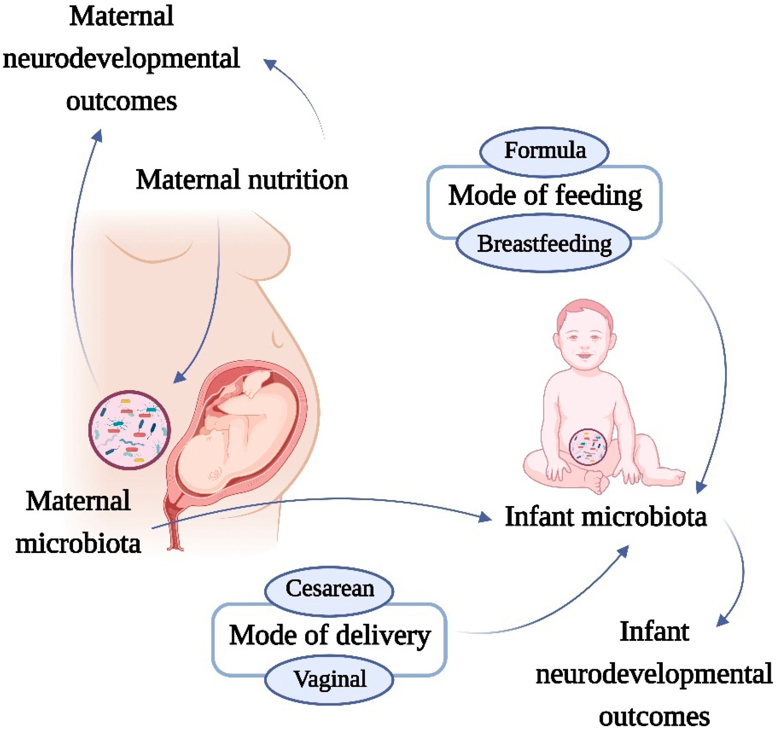 Nutrients 13 03533 g001