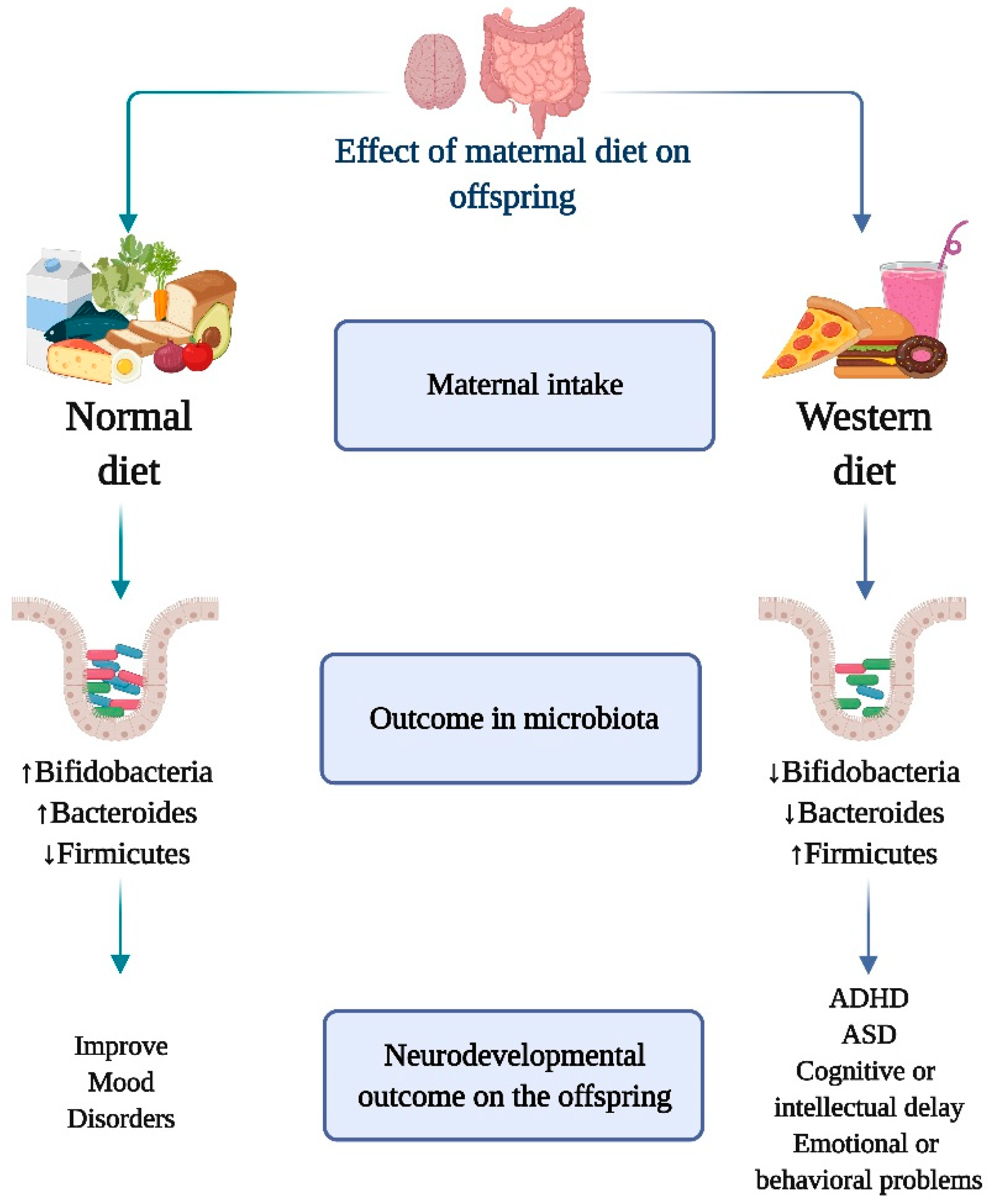 Nutrients 13 03533 g002