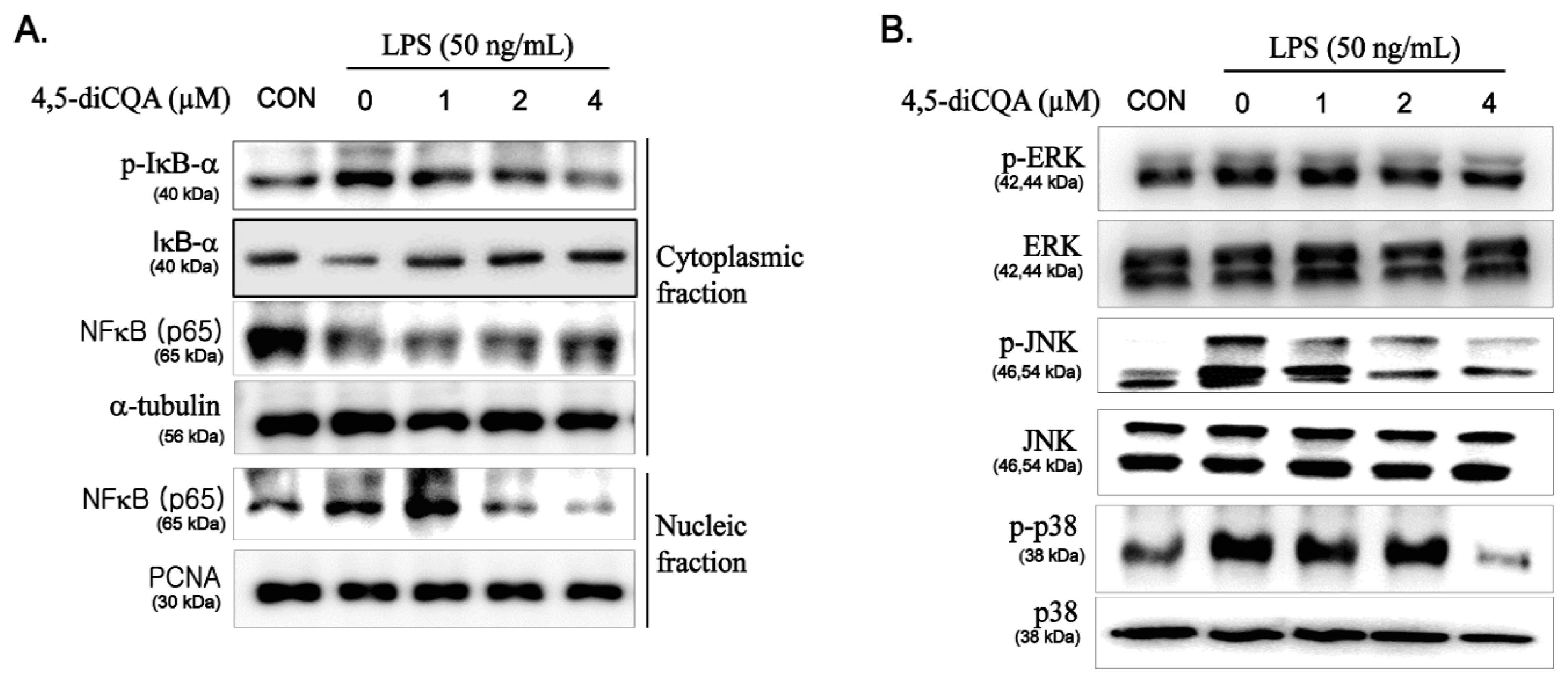 Nutrients 13 03537 g004