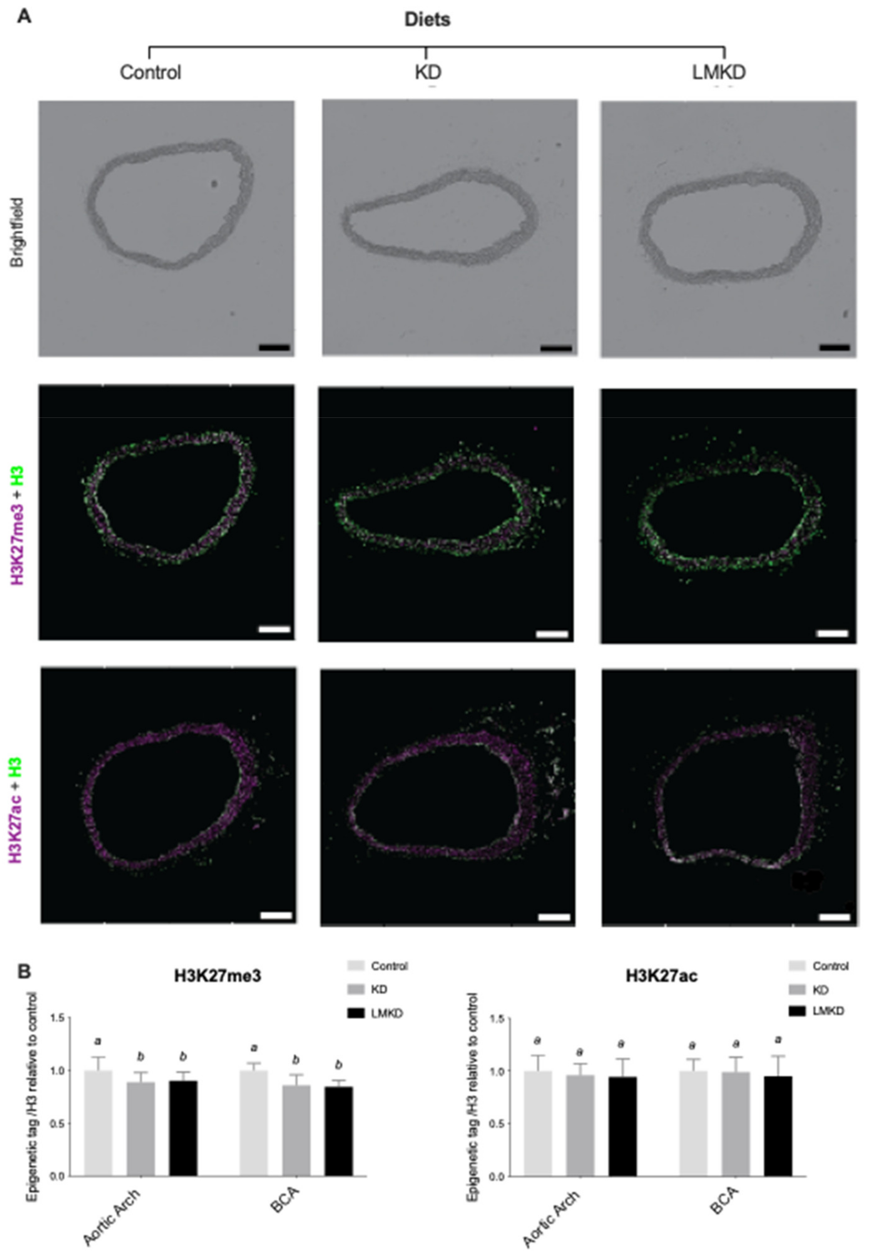 Nutrients 13 03576 g005