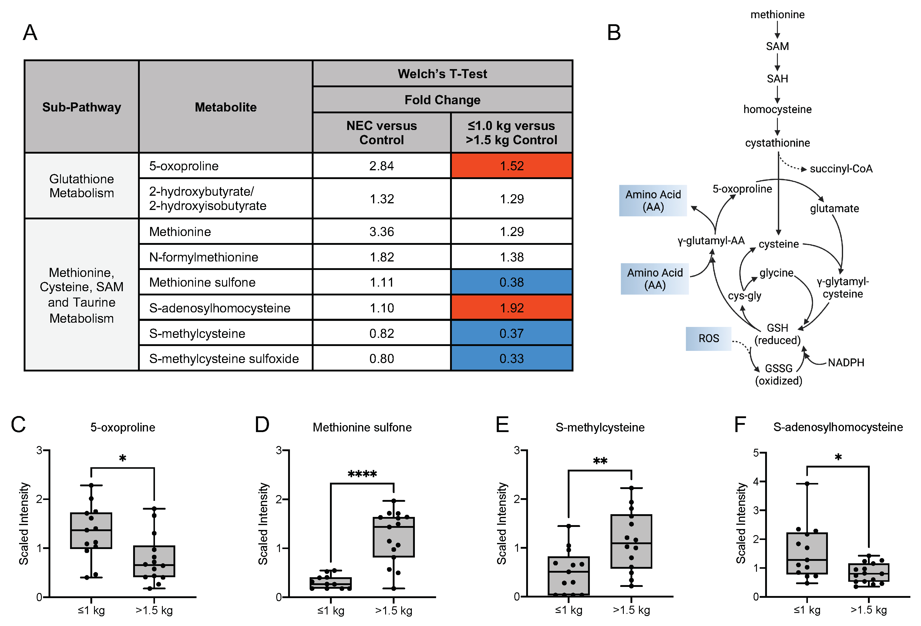Nutrients 13 03604 g007