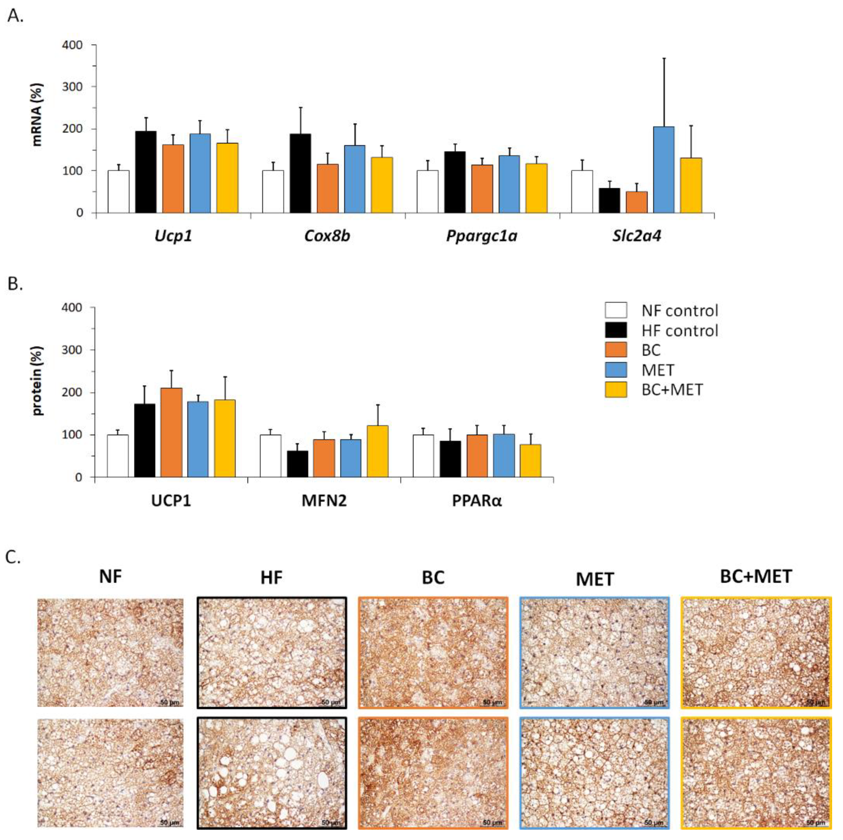 Nutrients 13 03607 g004 Nutrients 13 03607 g004