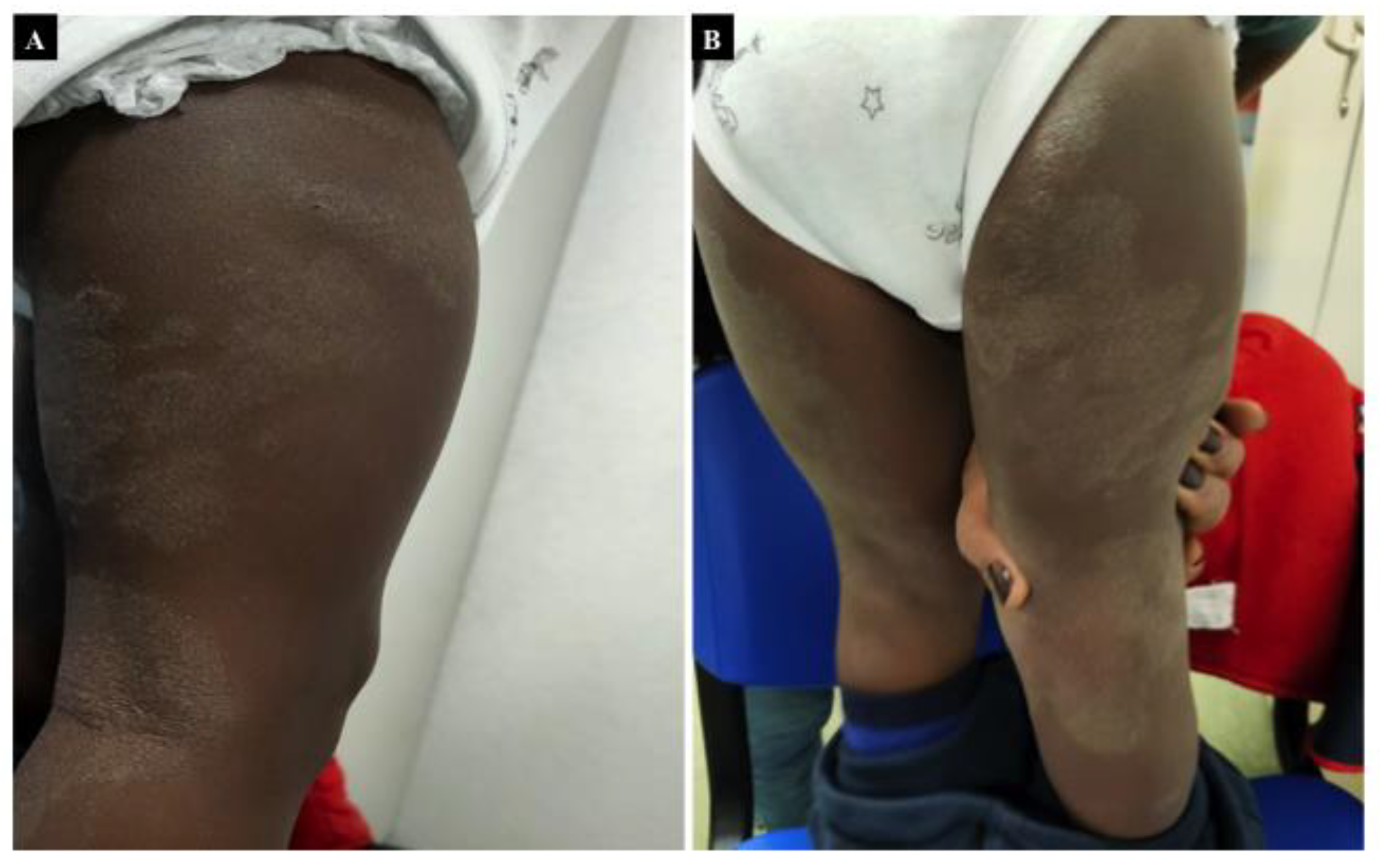 Nutrients 13 03611 g003